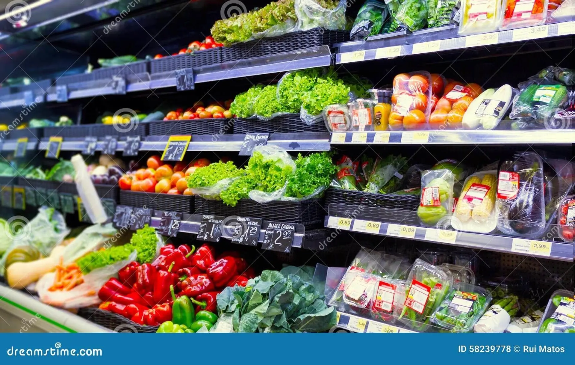 Property at [private address], Vancouver, BC