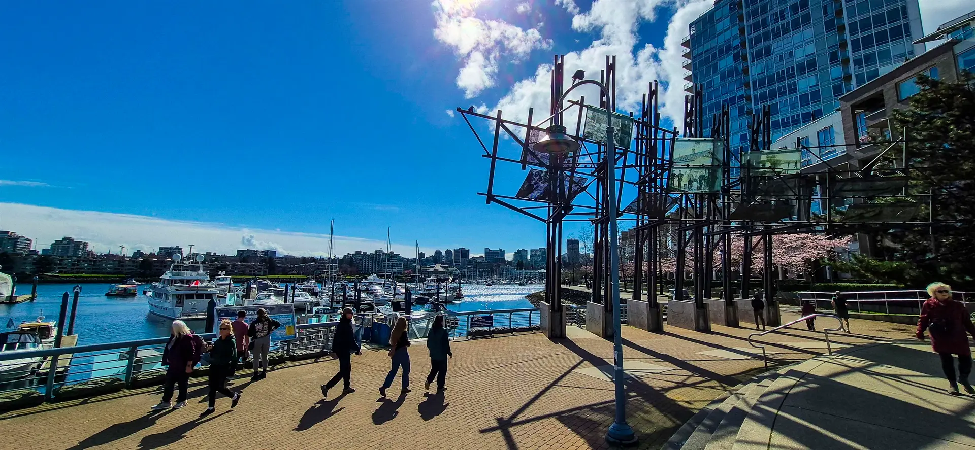 Property at 206 DAVIE STREET, Vancouver, BC