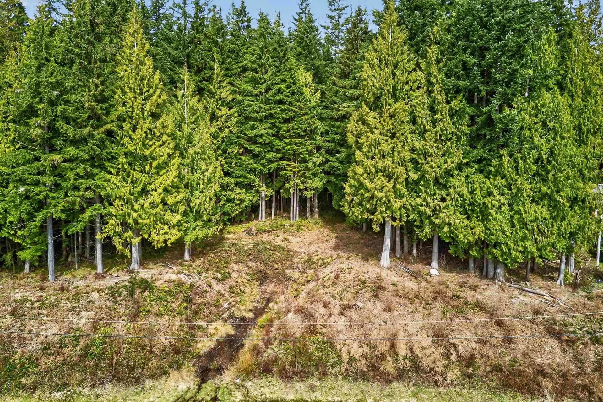 Property at 27641 128 AVENUE, Maple Ridge, BC