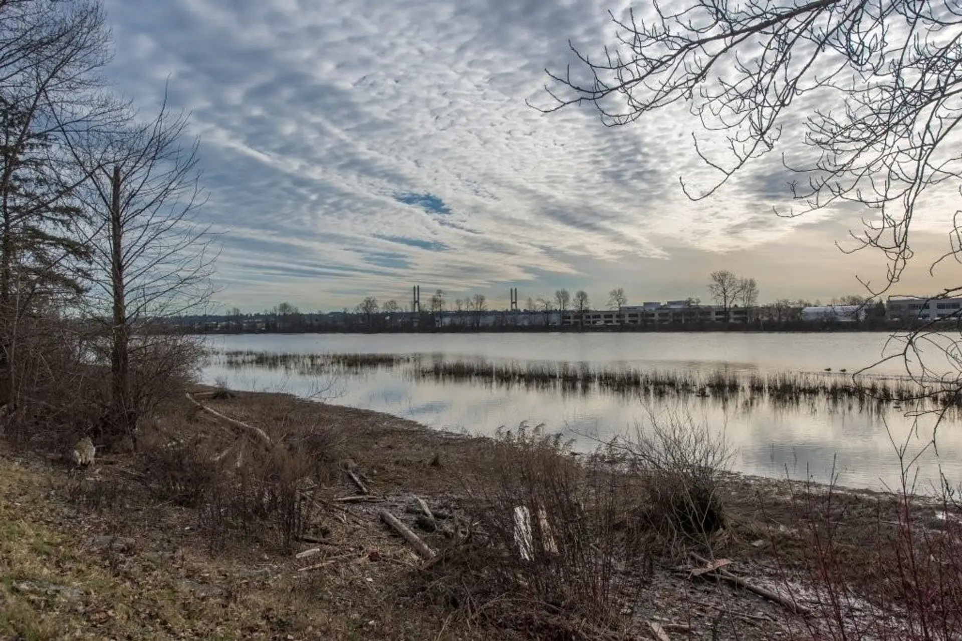 Property at #1120 22091 FRASERWOOD WAY, Richmond, BC