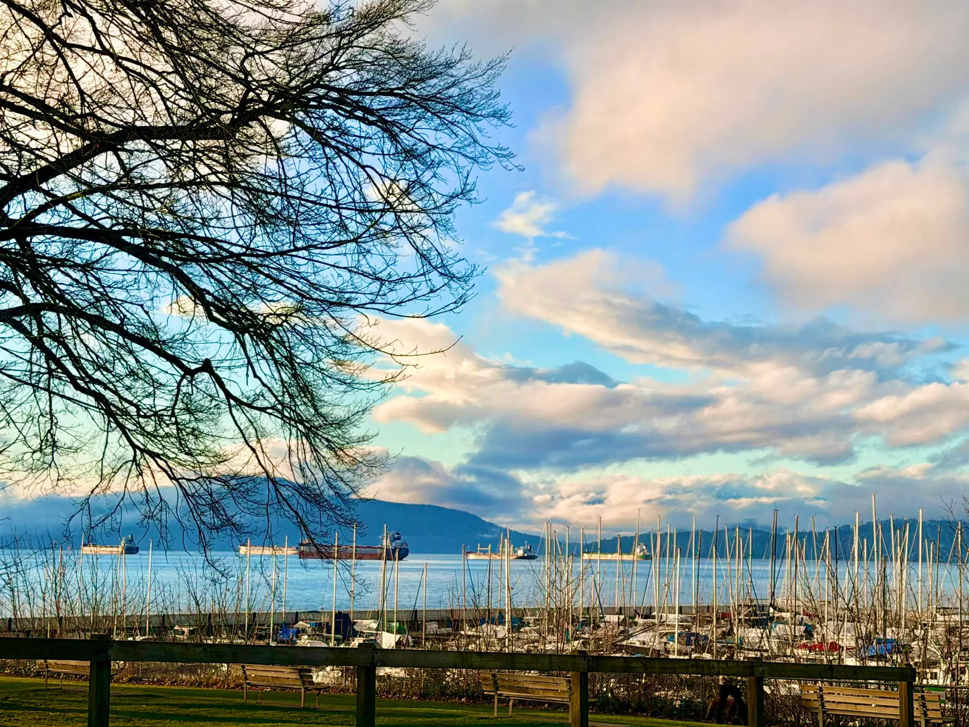 Property at 3629 W 4TH AVENUE, Vancouver, BC