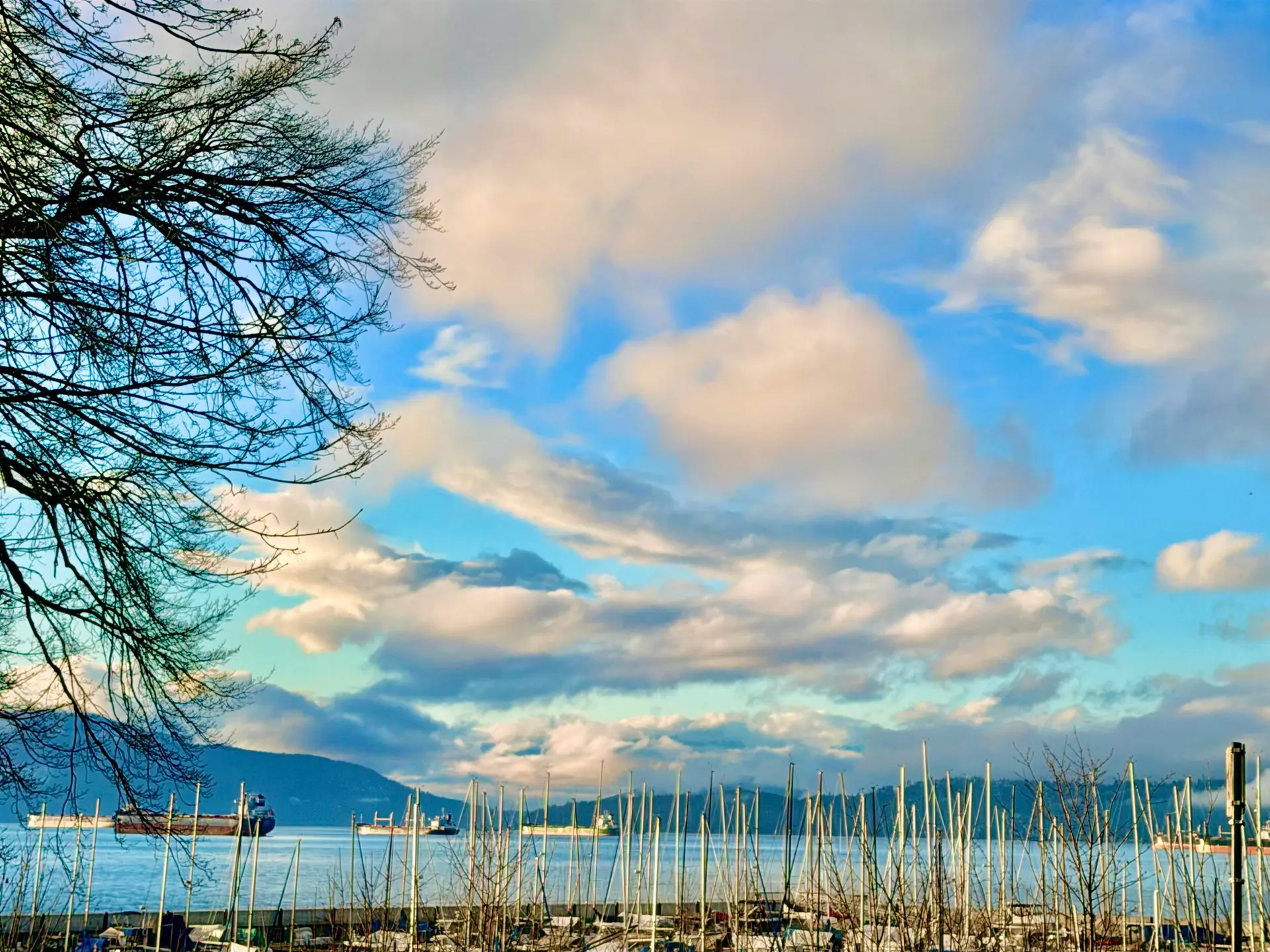 Property at 3629 W 4TH AVENUE, Vancouver, BC