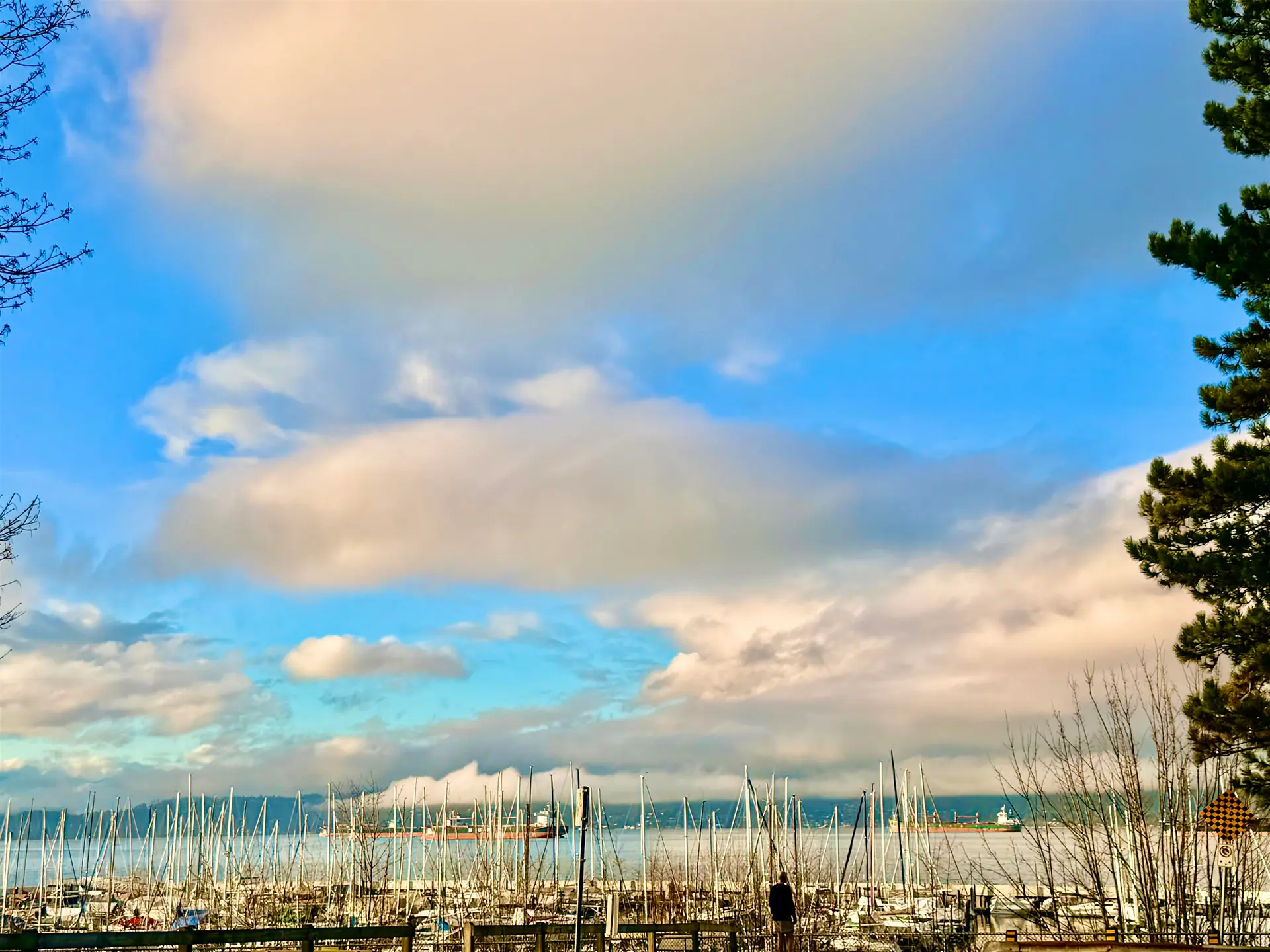 Property at 3629 W 4TH AVENUE, Vancouver, BC