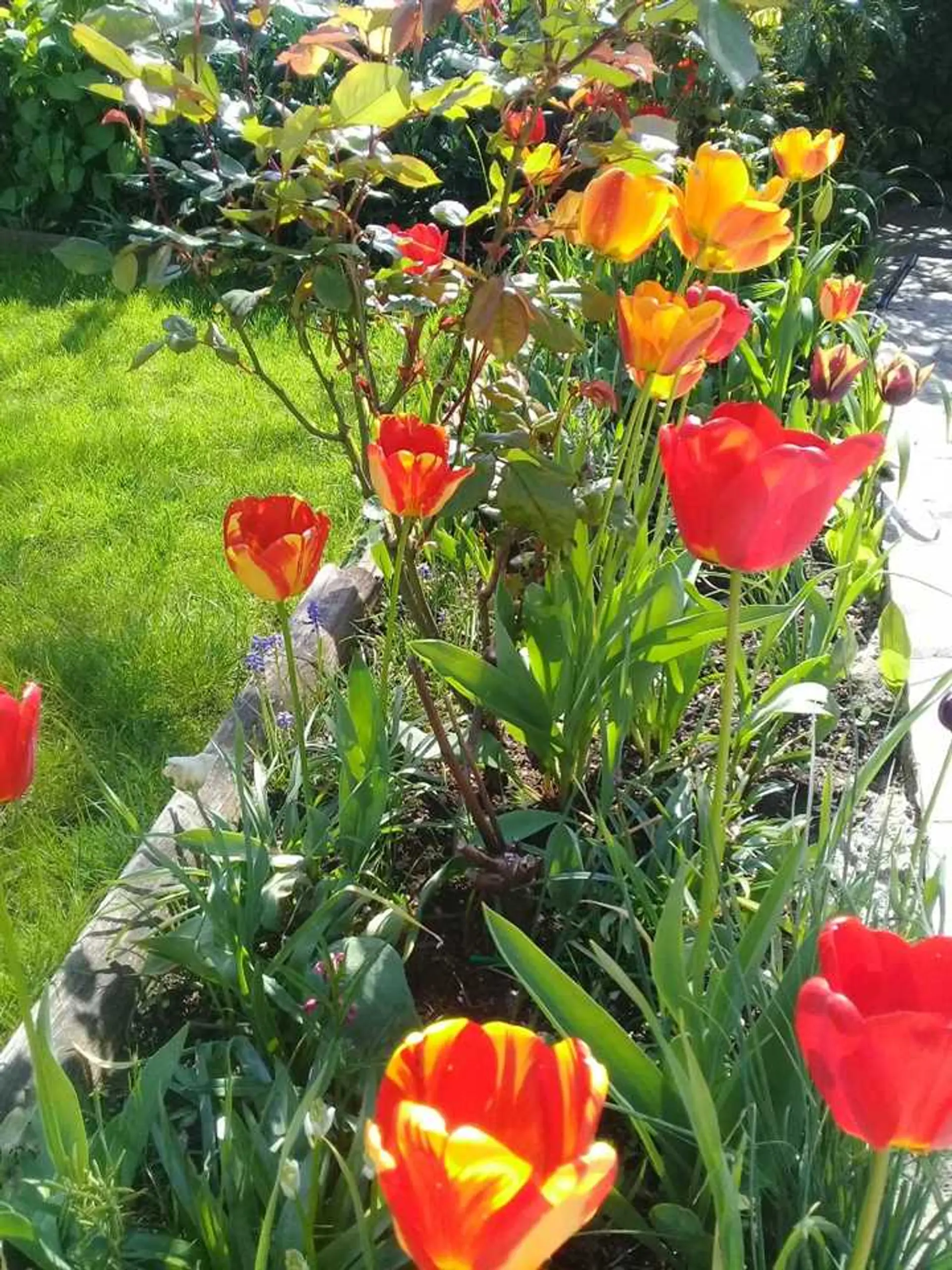 Property at 7280 15TH AVENUE, Burnaby, BC