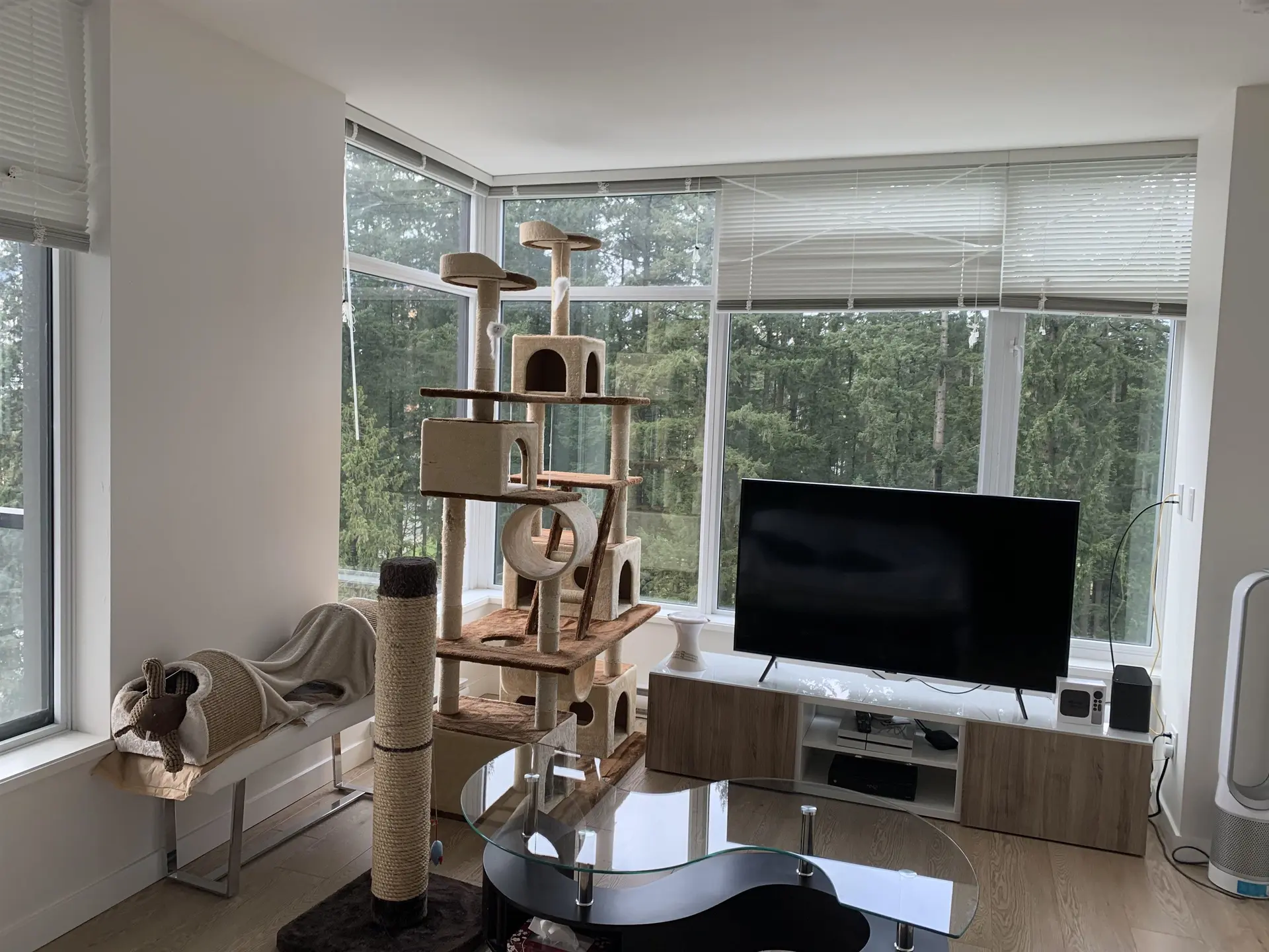 Property at #1108 3080 LINCOLN AVENUE, Coquitlam, BC