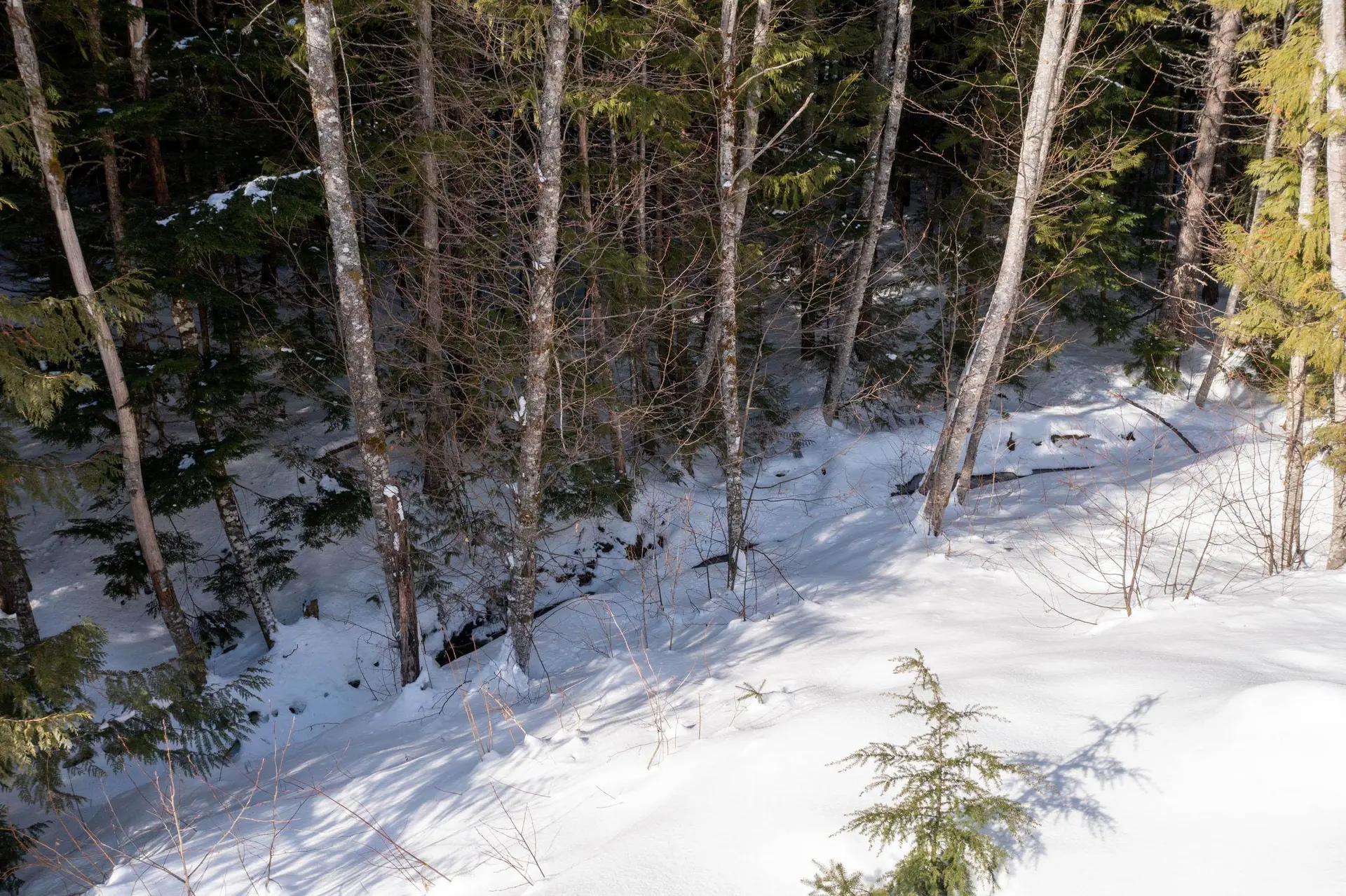 Property at 8648 LAKEWOOD COURT, Whistler, BC