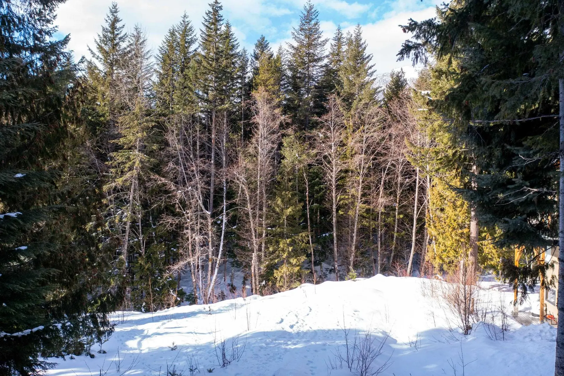 Property at 8648 LAKEWOOD COURT, Whistler, BC