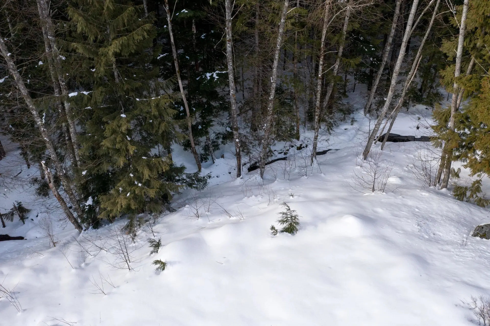 Property at 8648 LAKEWOOD COURT, Whistler, BC