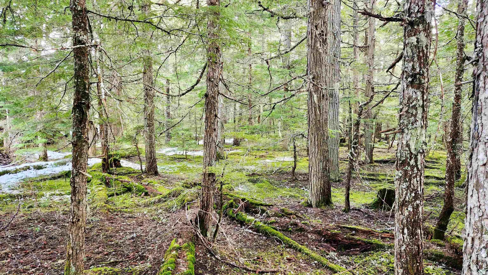 Property at DL3363 HIGHWAY 99, Whistler, BC