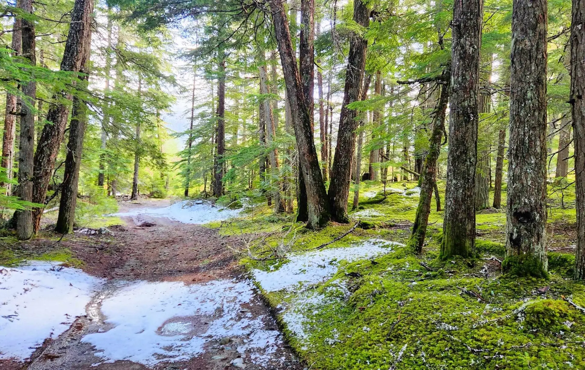 Property at DL3363 HIGHWAY 99, Whistler, BC