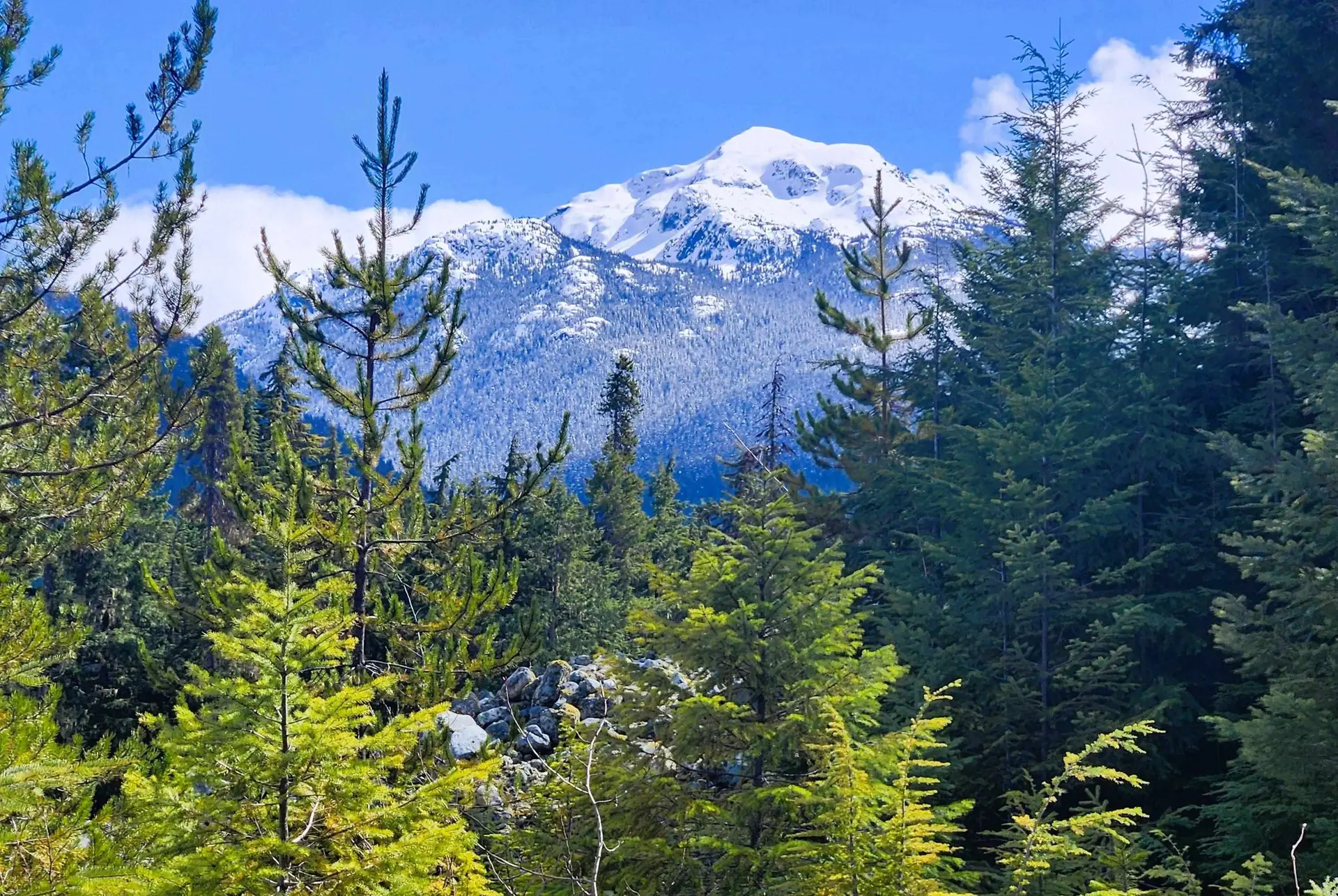 Property at DL3363 HIGHWAY 99, Whistler, BC