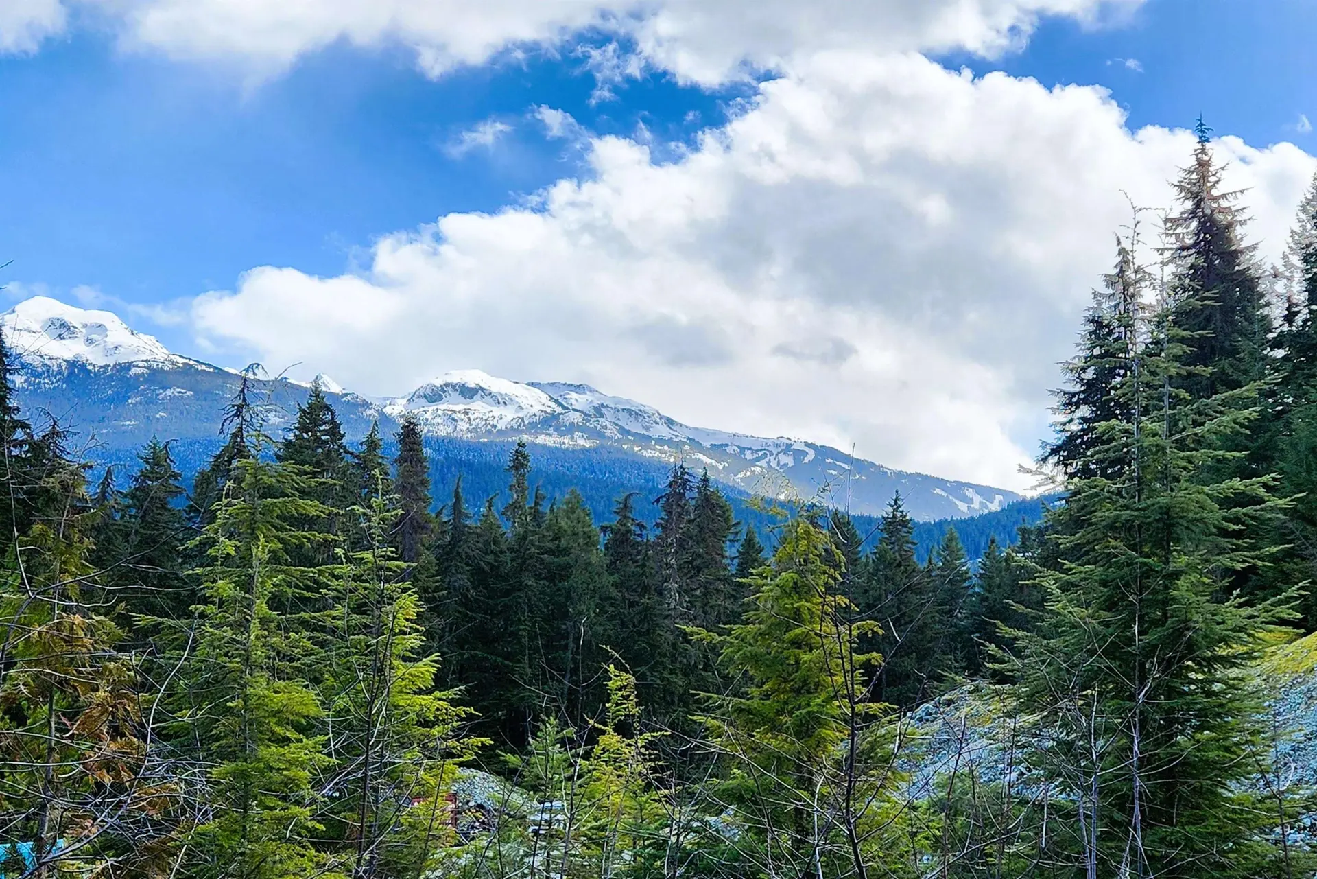 Property at DL3363 HIGHWAY 99, Whistler, BC