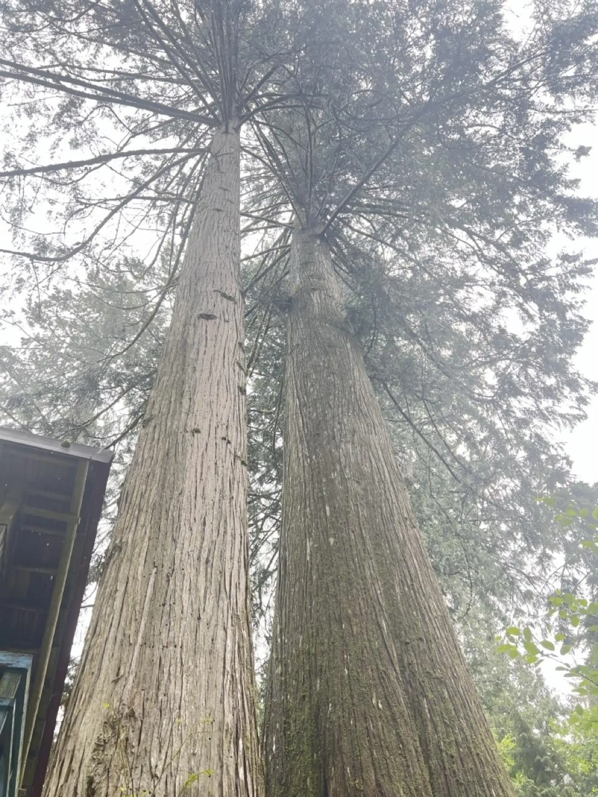 Property at 6229 MASON ROAD, Sechelt, BC