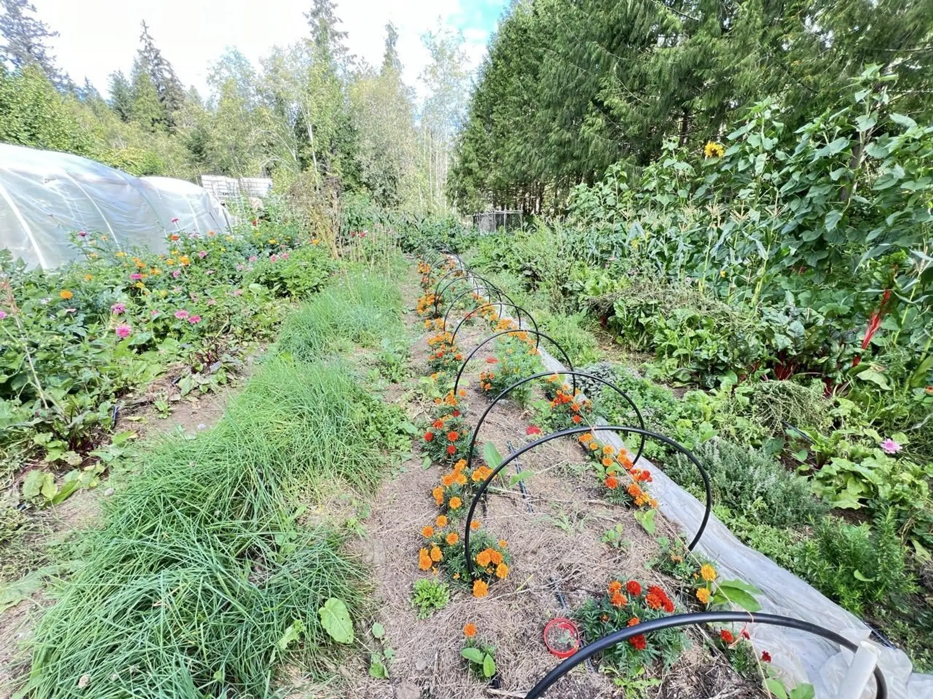 Property at 6229 MASON ROAD, Sechelt, BC