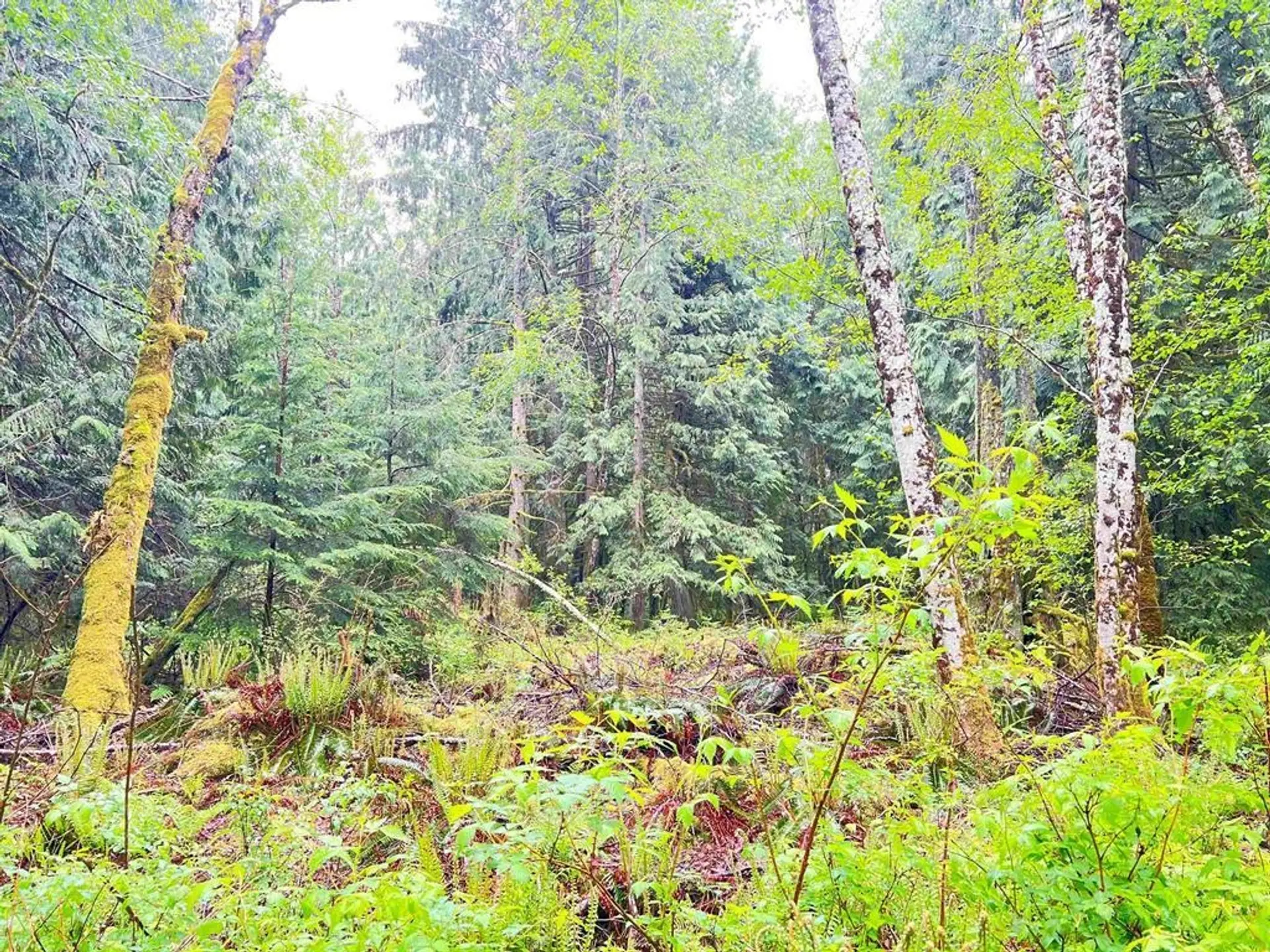 Property at 6229 MASON ROAD, Sechelt, BC