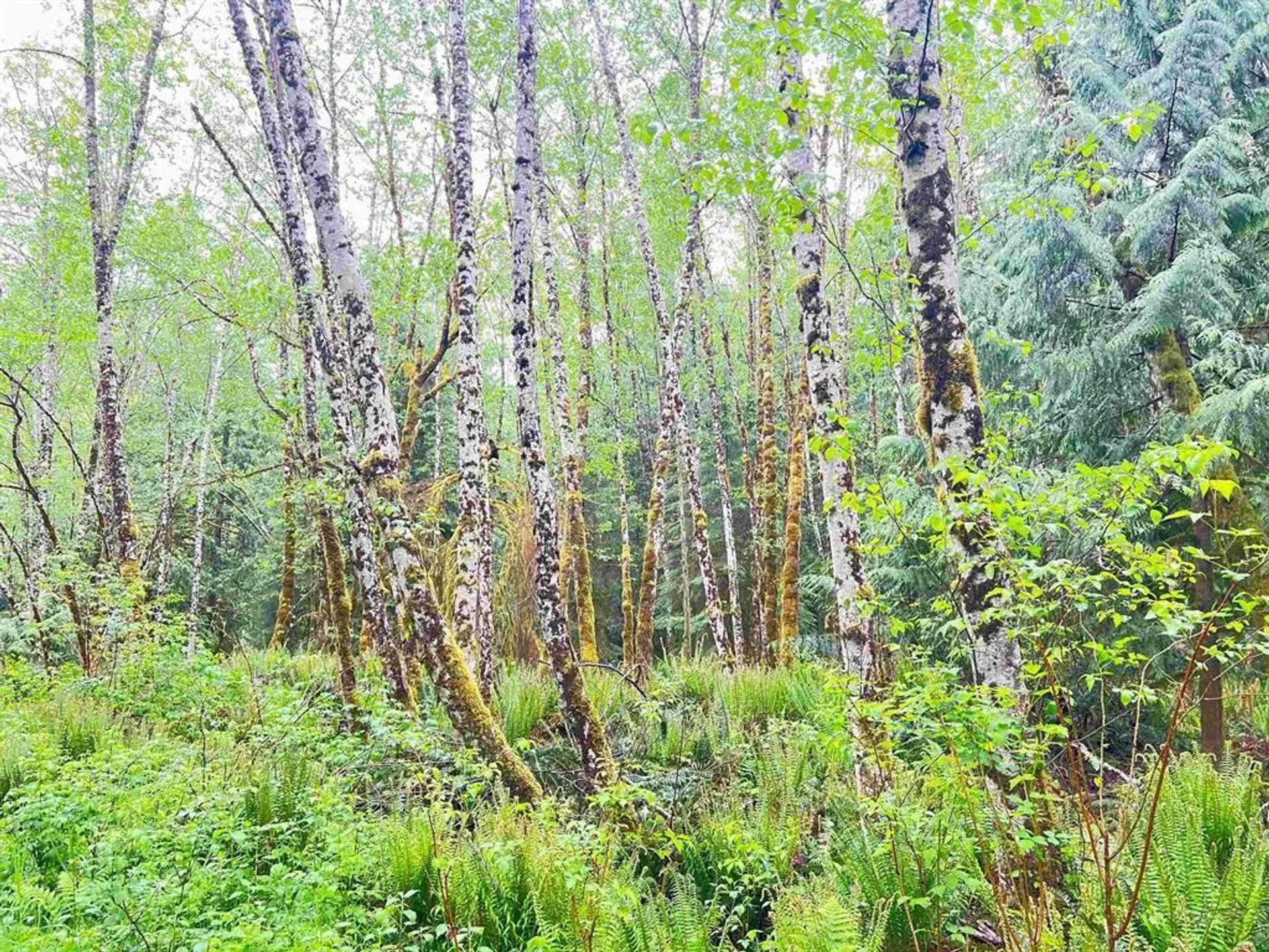 Property at 6229 MASON ROAD, Sechelt, BC