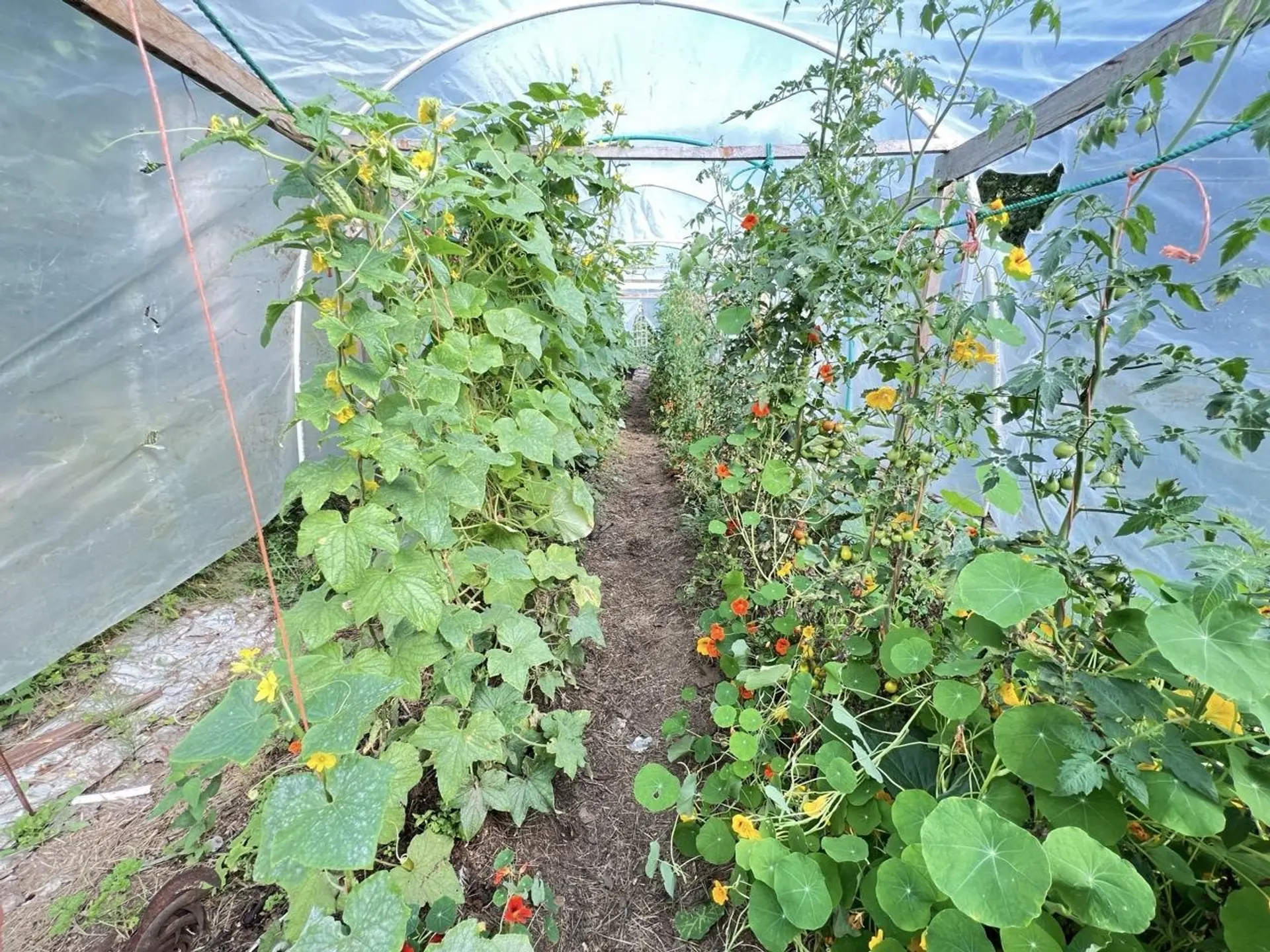 Property at 6229 MASON ROAD, Sechelt, BC