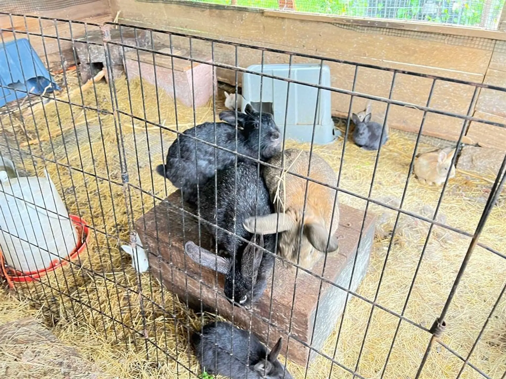 Property at 6229 MASON ROAD, Sechelt, BC