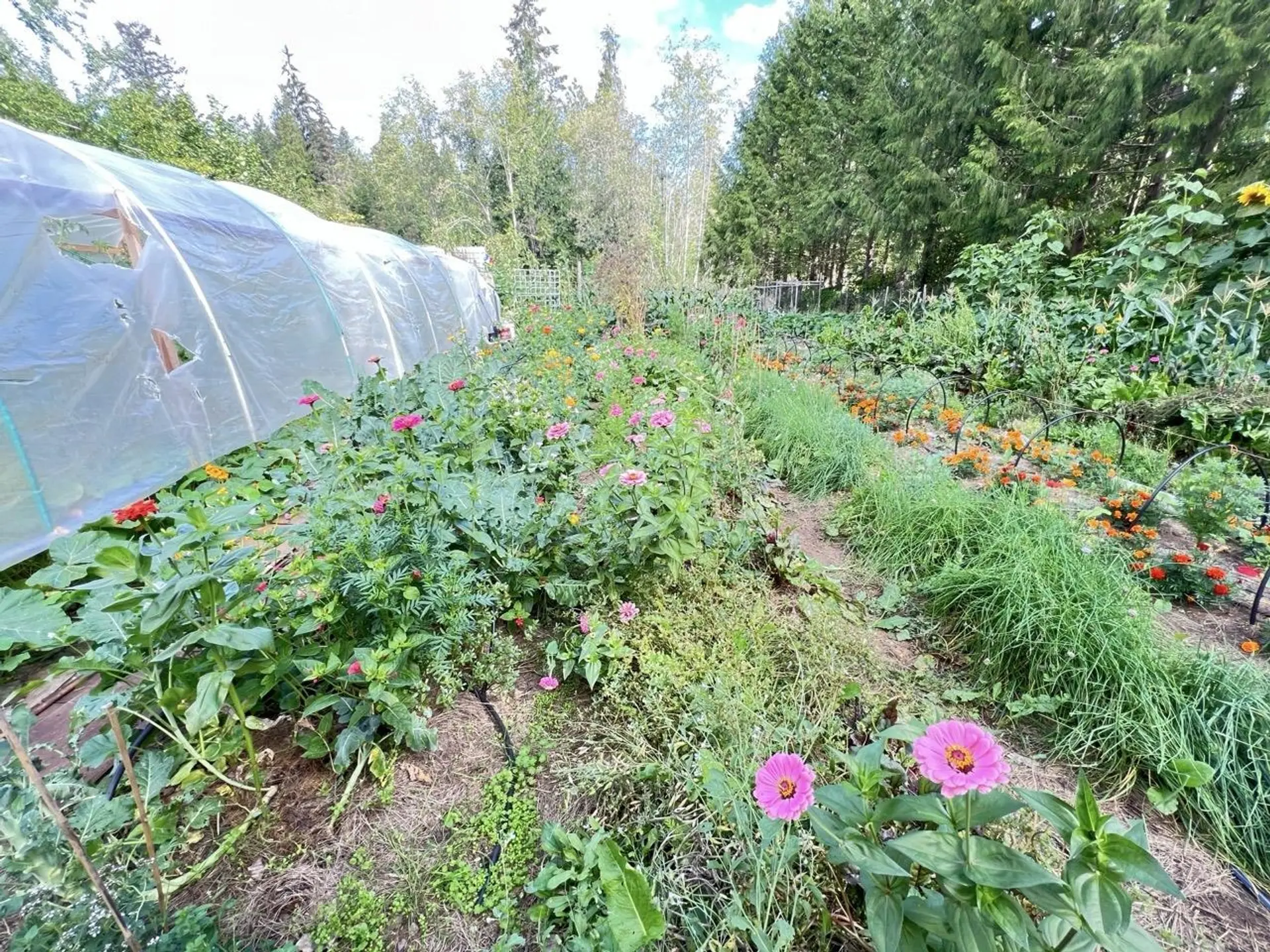 Property at 6229 MASON ROAD, Sechelt, BC