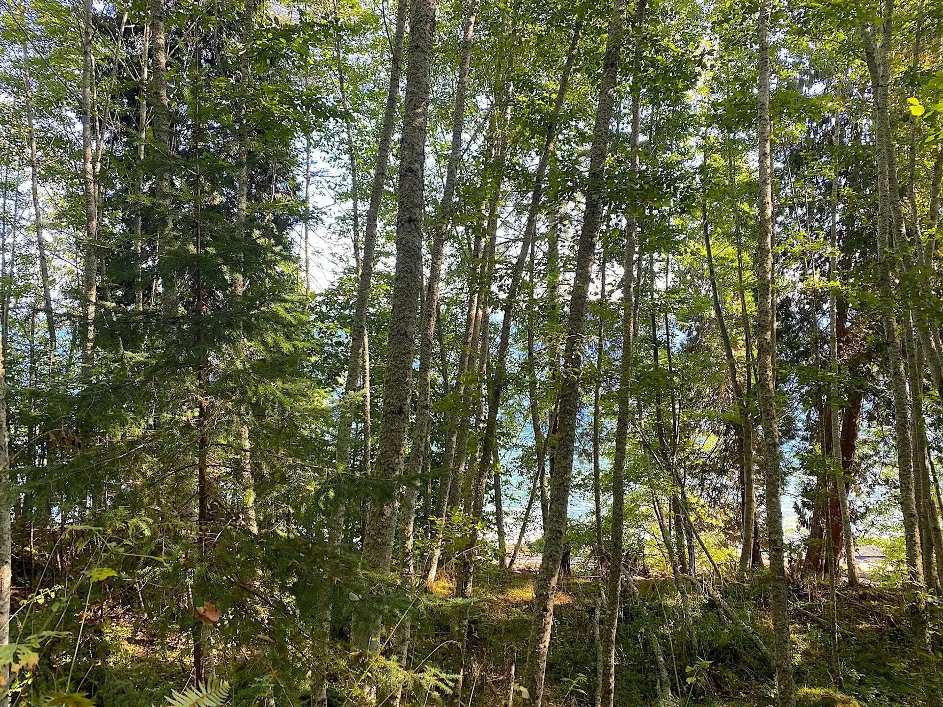 Property at LOT 17 DL 71 BODEGA BEACH DRIVE, Galiano Island, BC