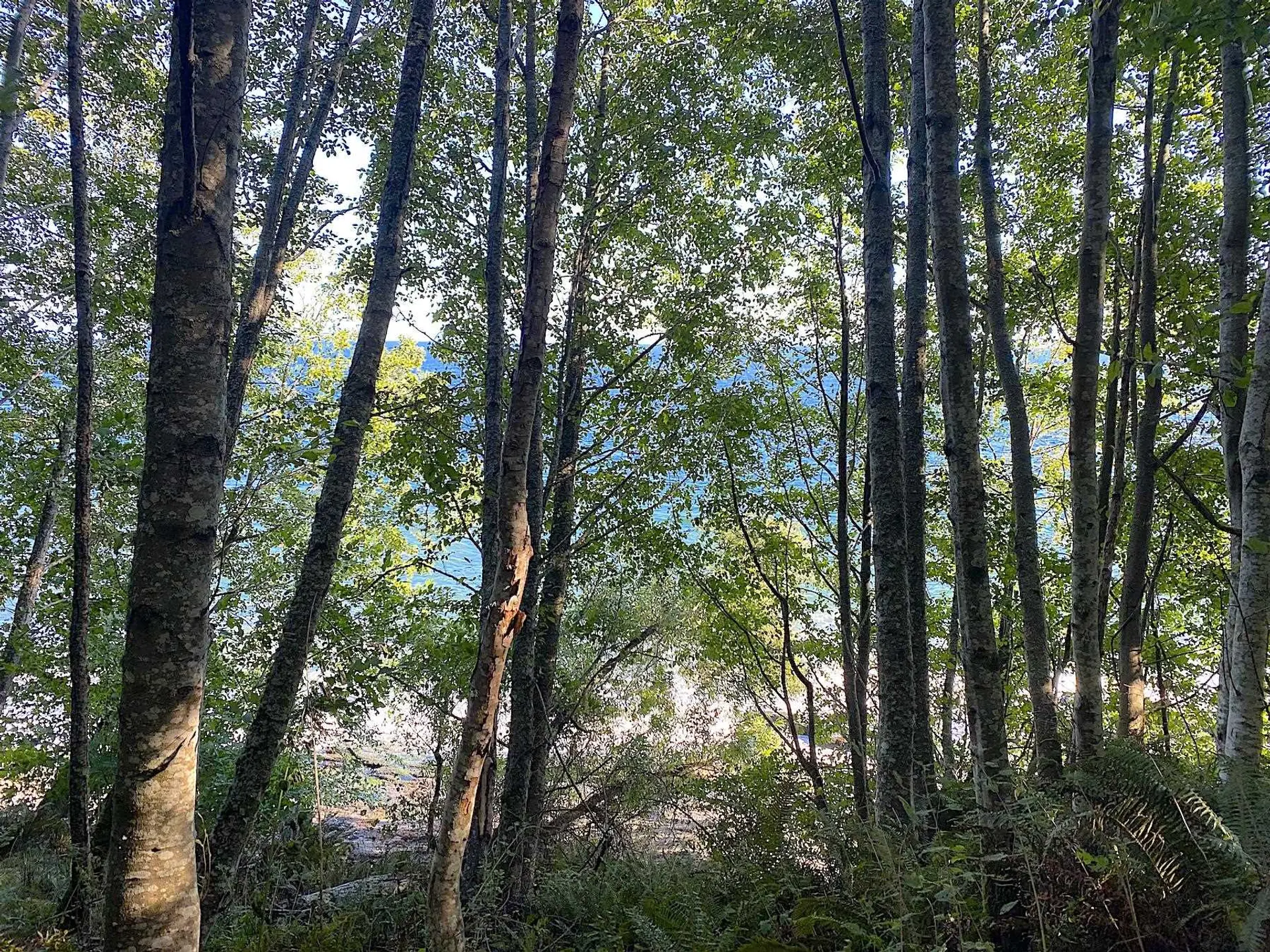 Property at LOT 17 DL 71 BODEGA BEACH DRIVE, Galiano Island, BC