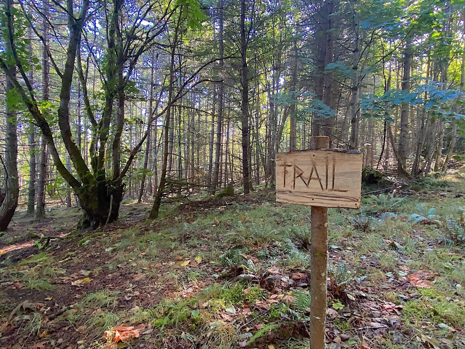 Property at LOT 17 DL 71 BODEGA BEACH DRIVE, Galiano Island, BC