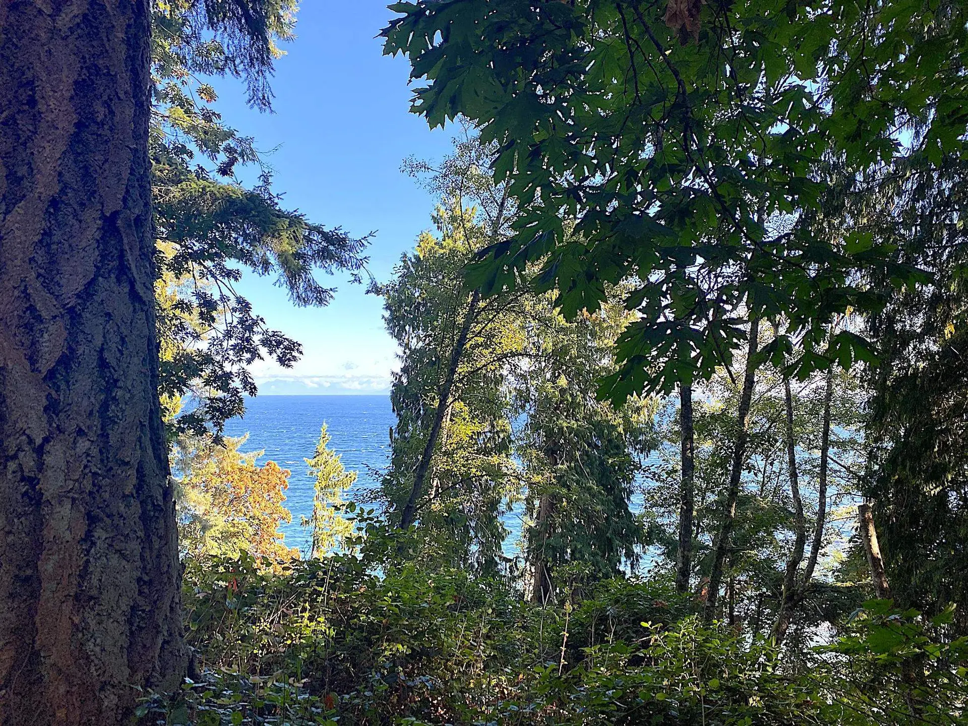 Property at LOT 17 DL 71 BODEGA BEACH DRIVE, Galiano Island, BC