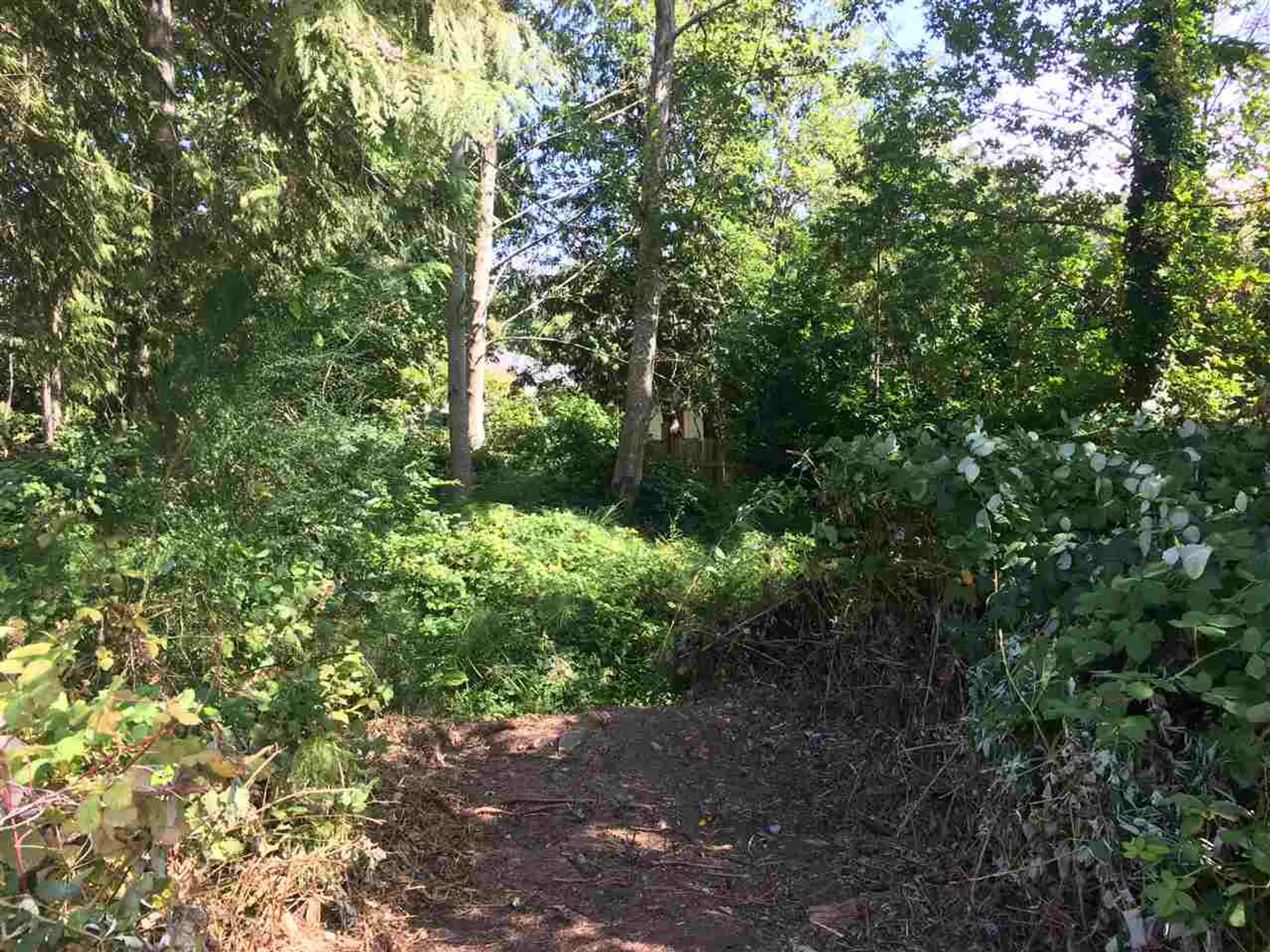 Property at LOT 38 MAPLEWOOD LANE, Gibsons, BC