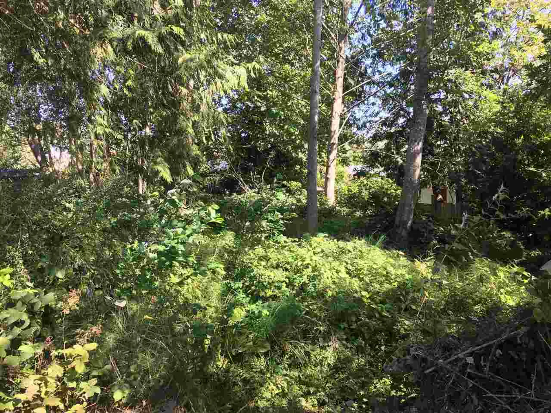 Property at LOT 38 MAPLEWOOD LANE, Gibsons, BC