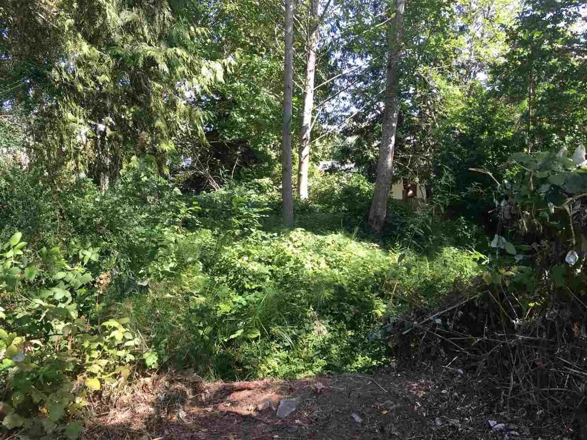 Property at LOT 38 MAPLEWOOD LANE, Gibsons, BC