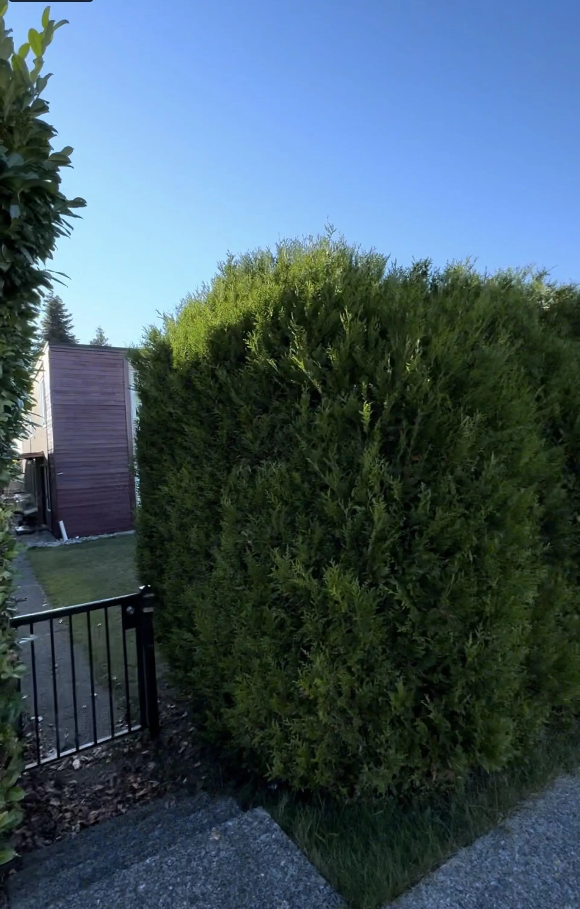 Property at 5333 BARKER AVENUE, Burnaby, BC