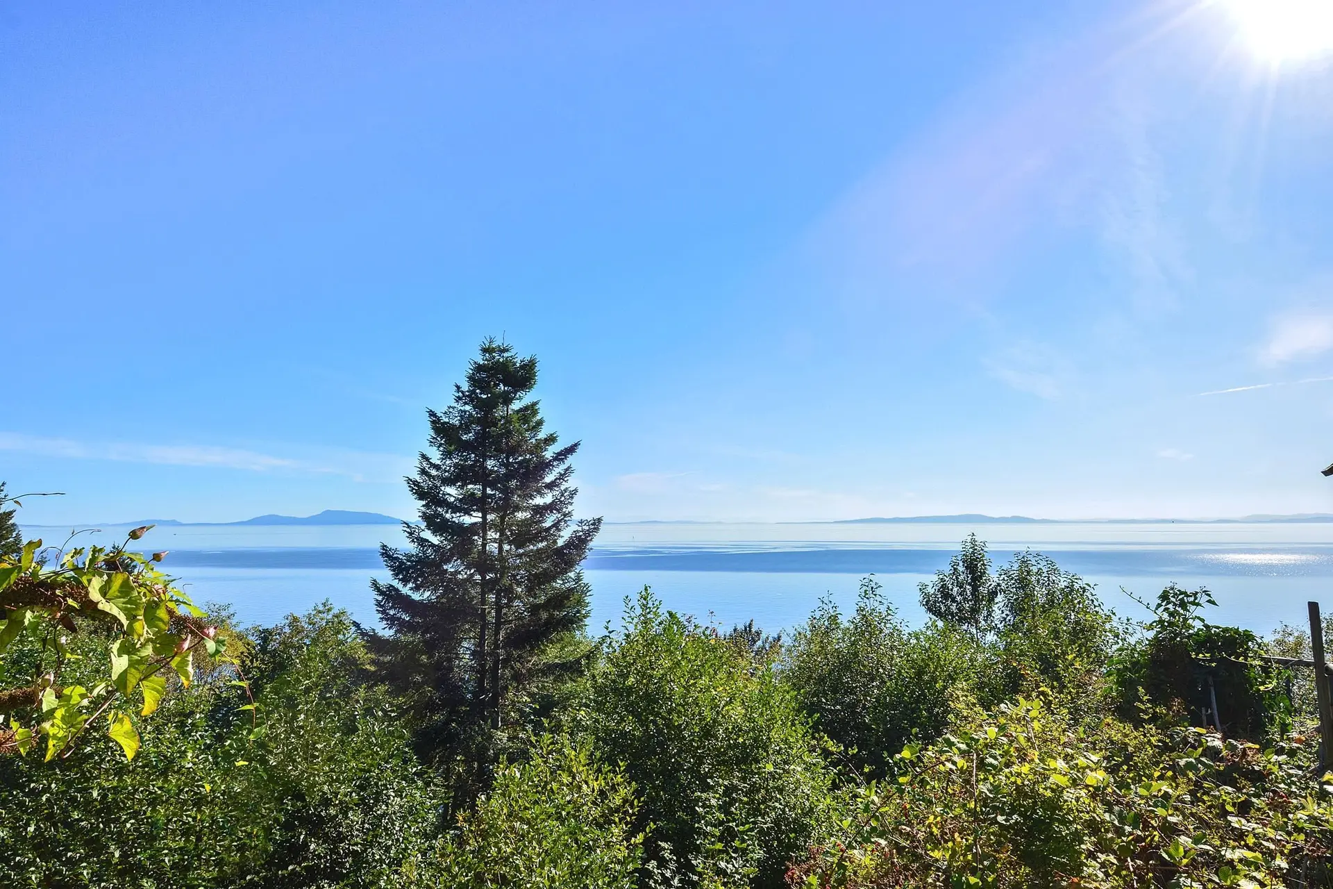 Property at 12816 13 AVENUE, Surrey, BC