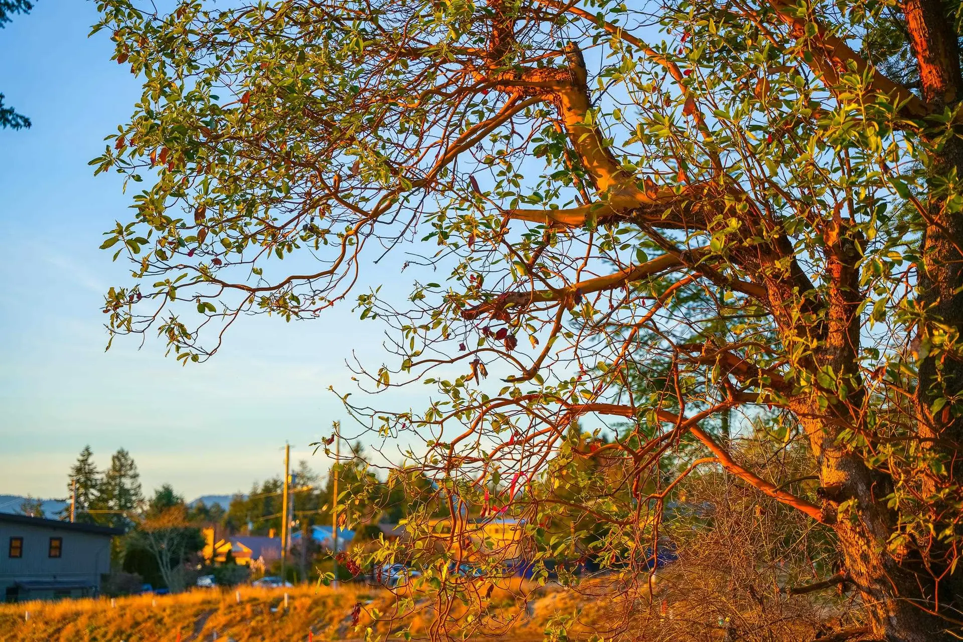 Property at LOT 5 SALAL ROAD, Sechelt, BC