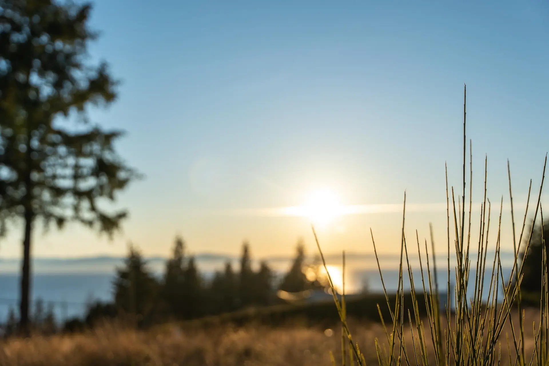 Property at LOT 5 SALAL ROAD, Sechelt, BC