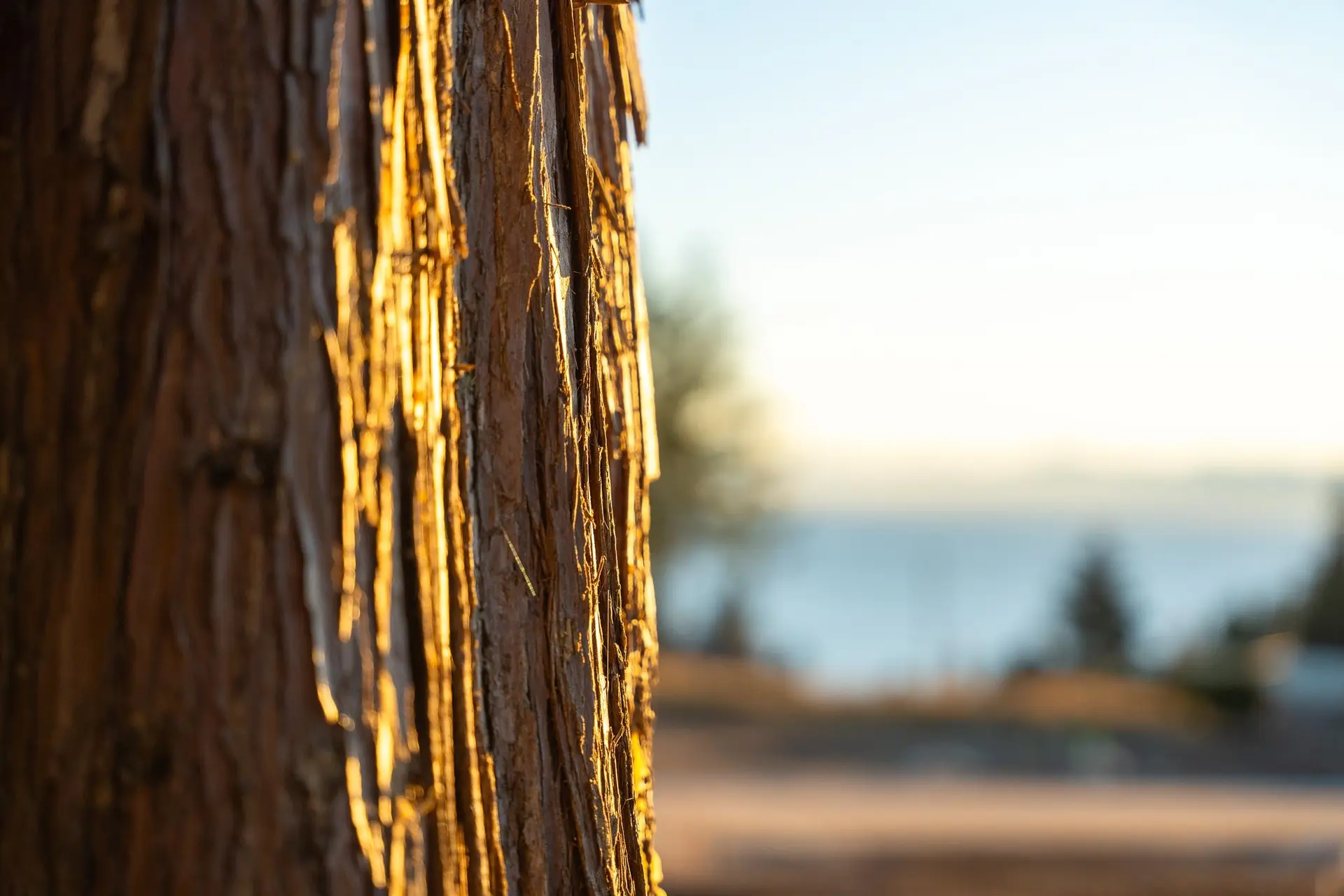 Property at LOT 5 SALAL ROAD, Sechelt, BC