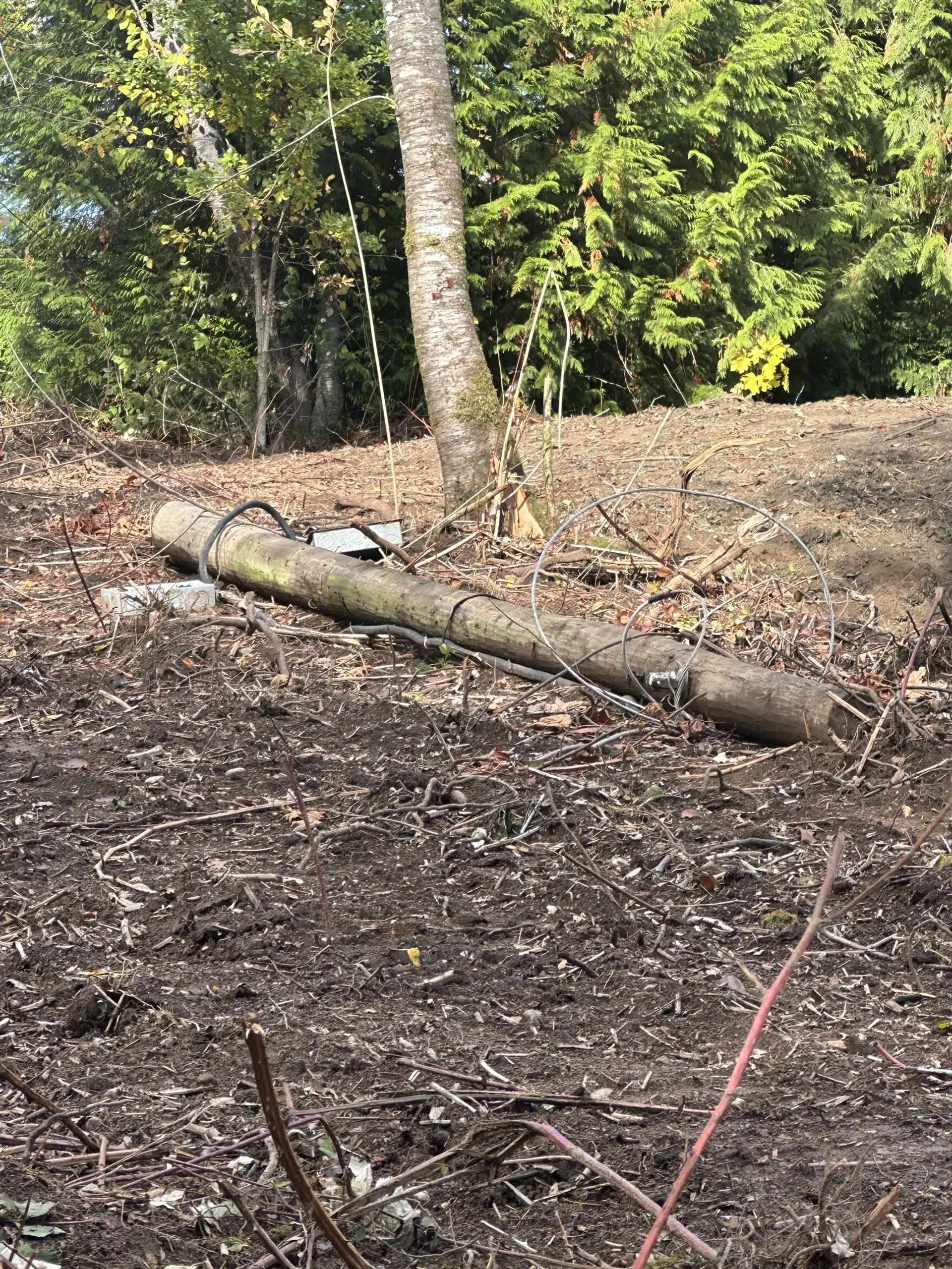 Property at 26861 OLIVER AVENUE, Maple Ridge, BC