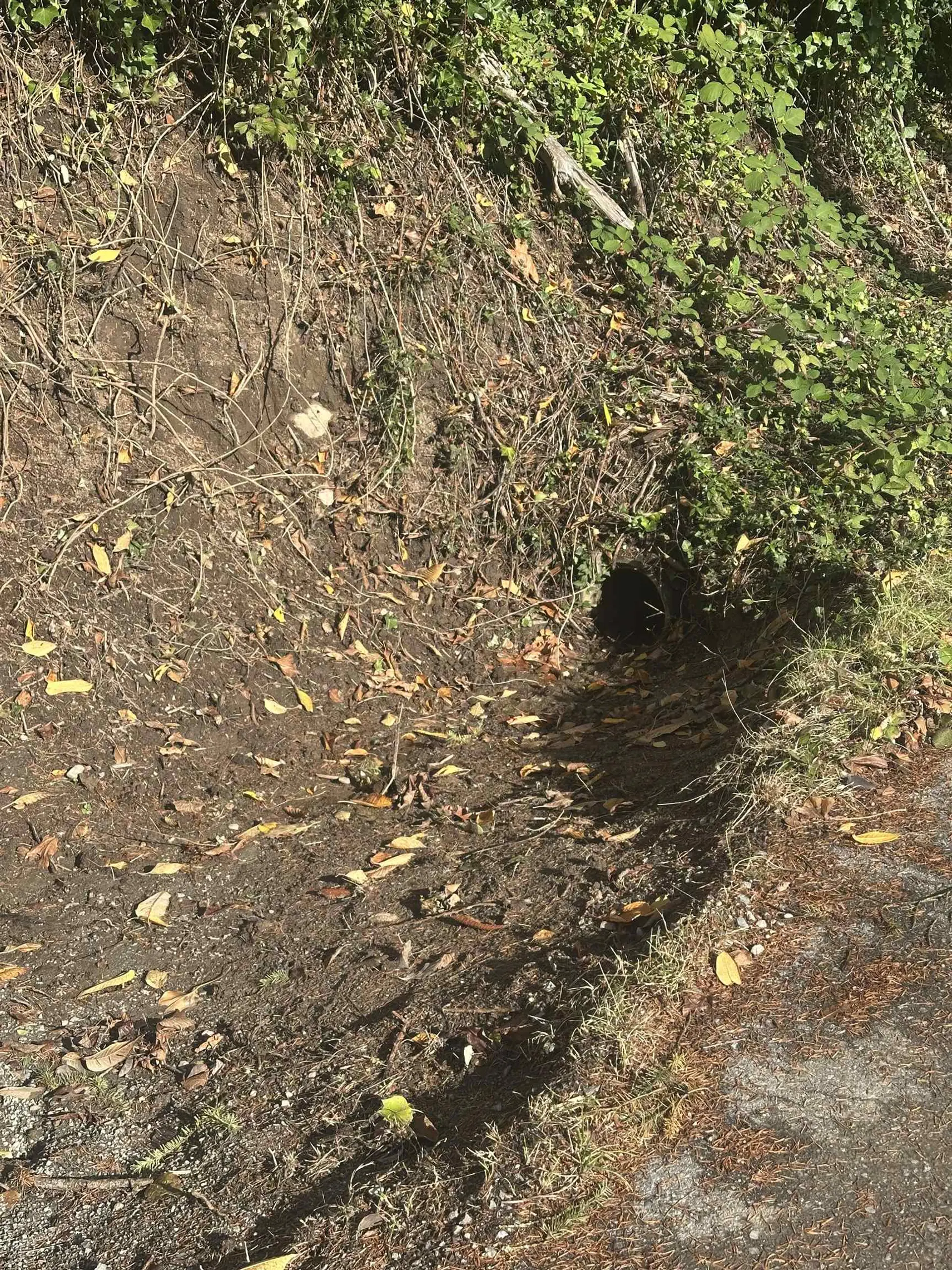 Property at 26861 OLIVER AVENUE, Maple Ridge, BC