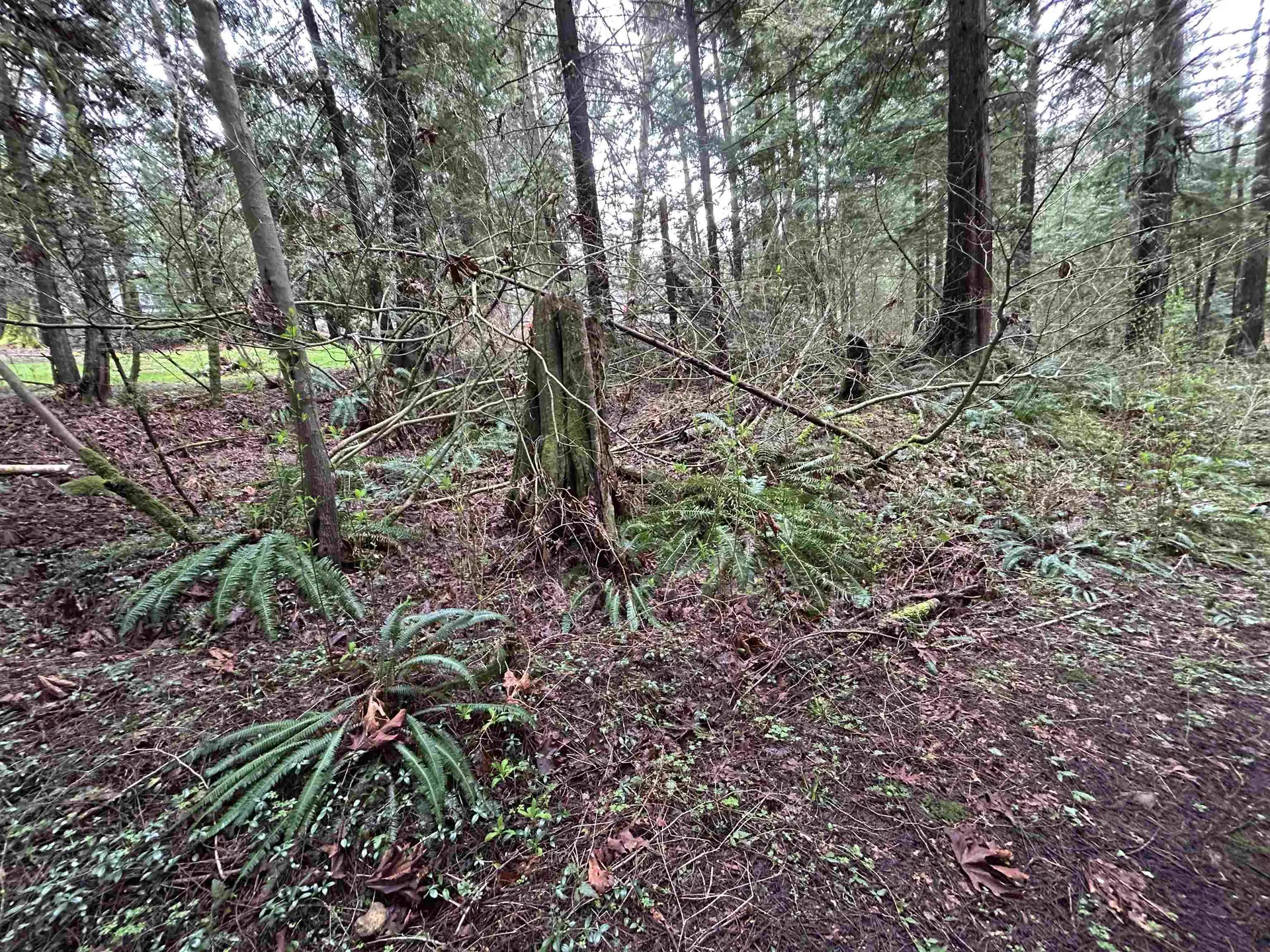 Property at 2000 SUNNYSIDE ROAD, Port Moody, BC