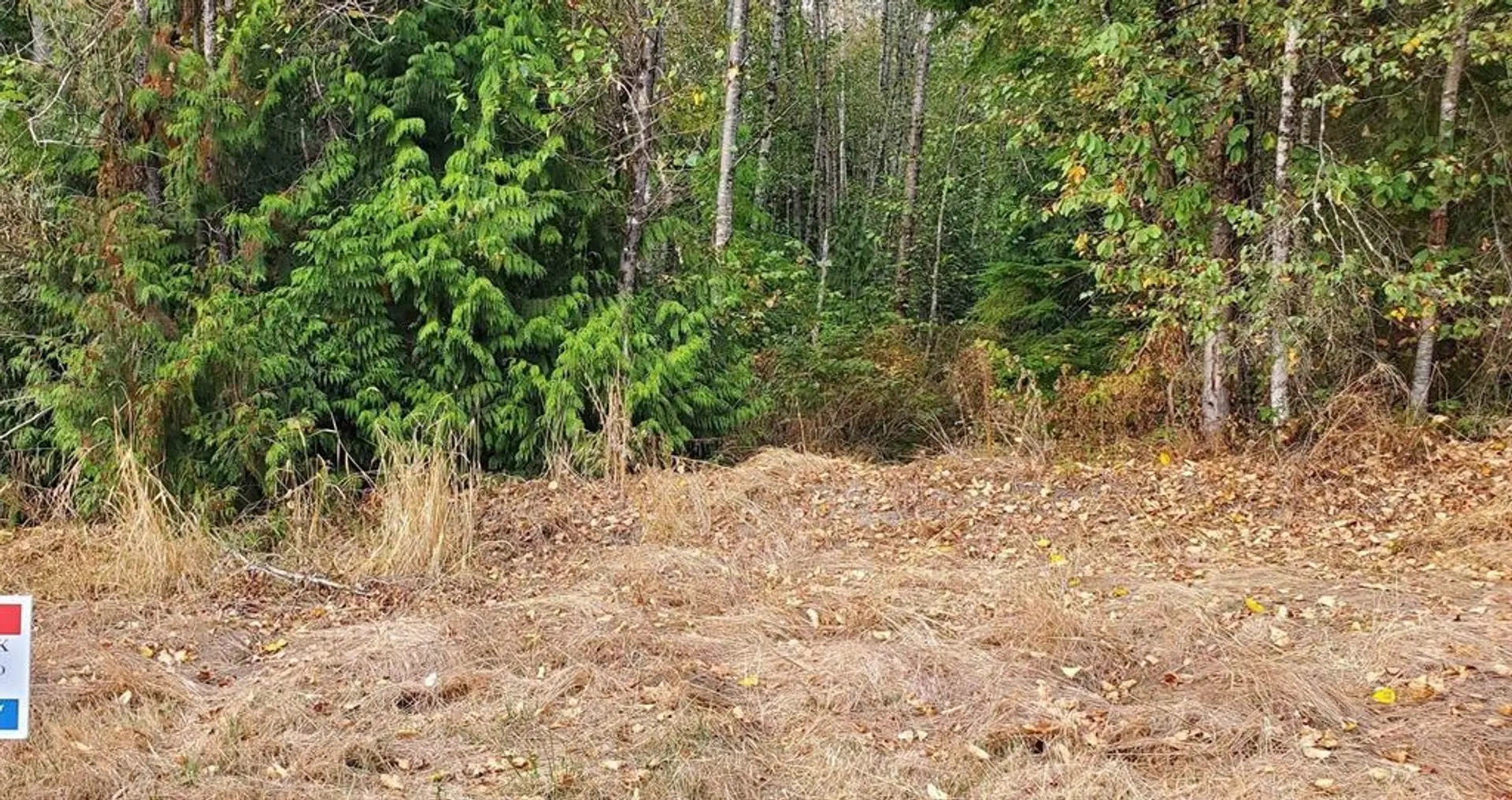 Property at 12350 270A STREET, Maple Ridge, BC