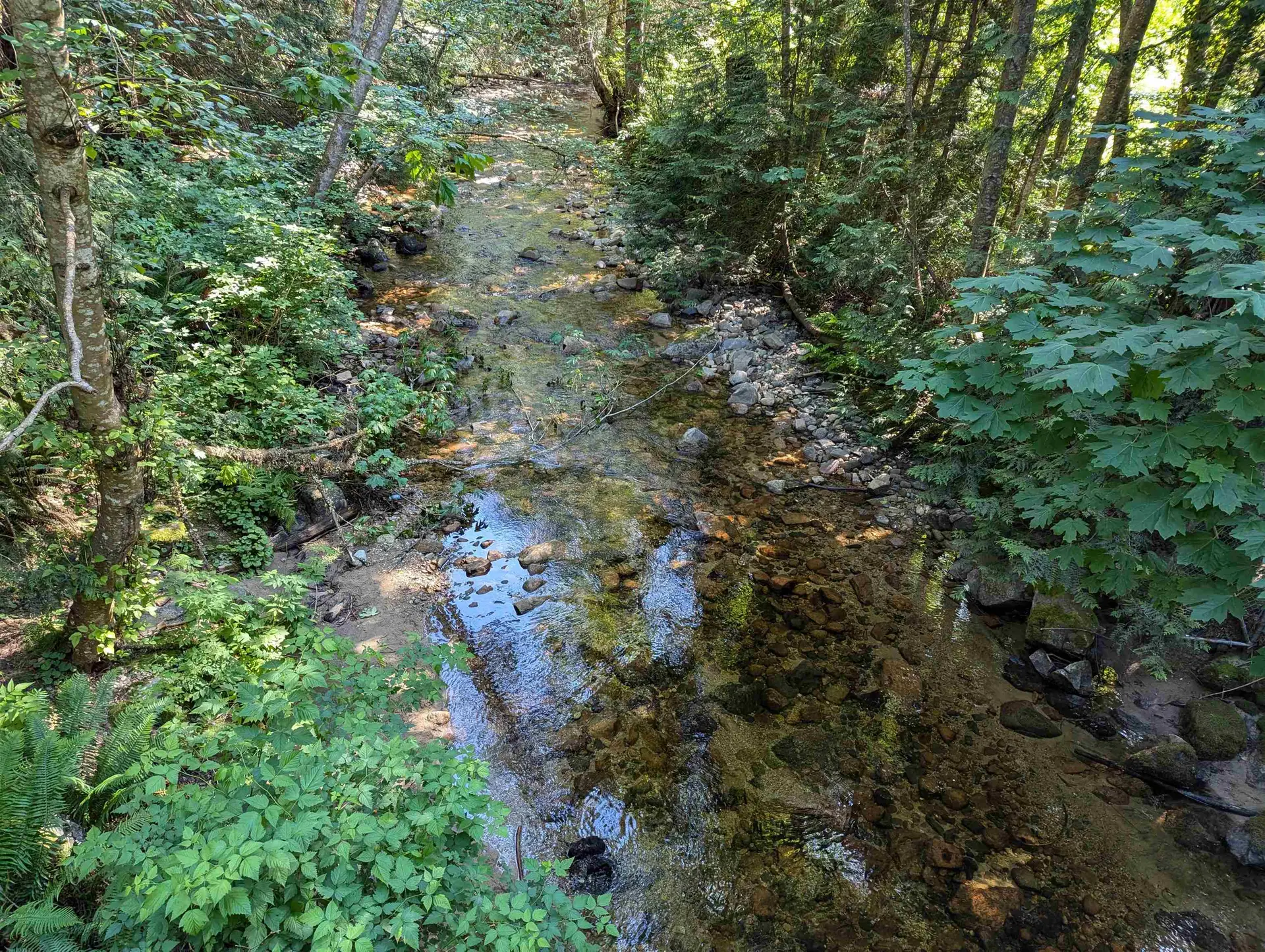 Property at 3094 LOWER ROAD, Roberts Creek, BC