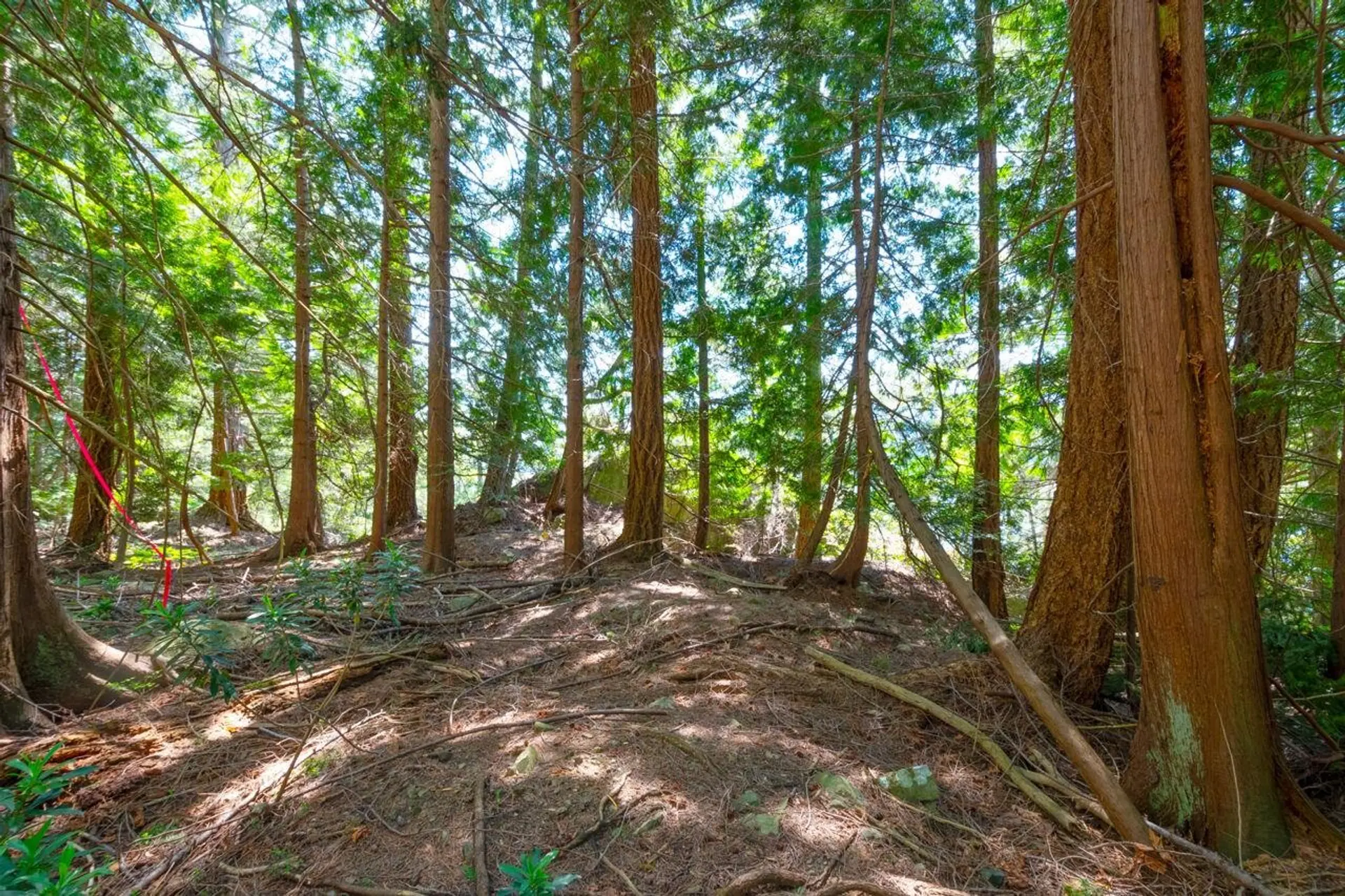 Property at 319 DAVID ROAD, Bowen Island, BC