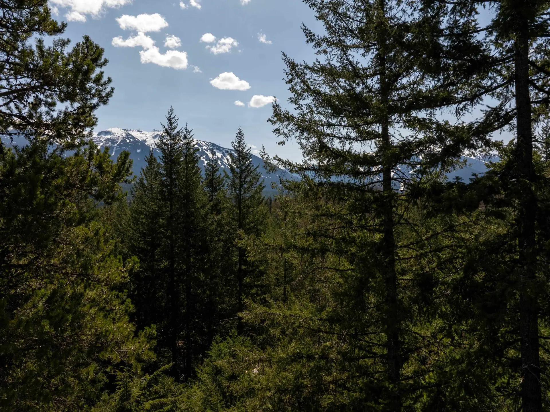 Property at 8214 MOUNTAIN VIEW DRIVE, Whistler, BC