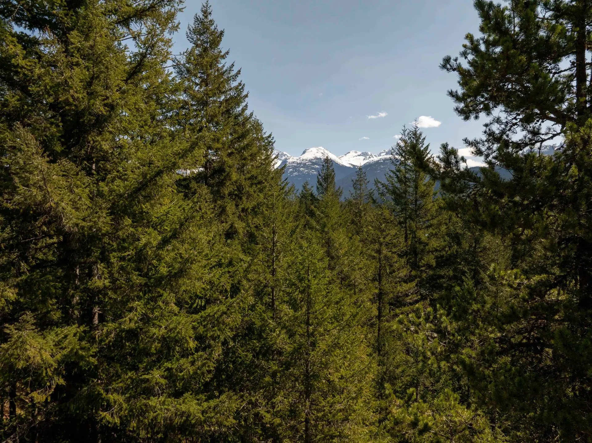 Property at 8214 MOUNTAIN VIEW DRIVE, Whistler, BC