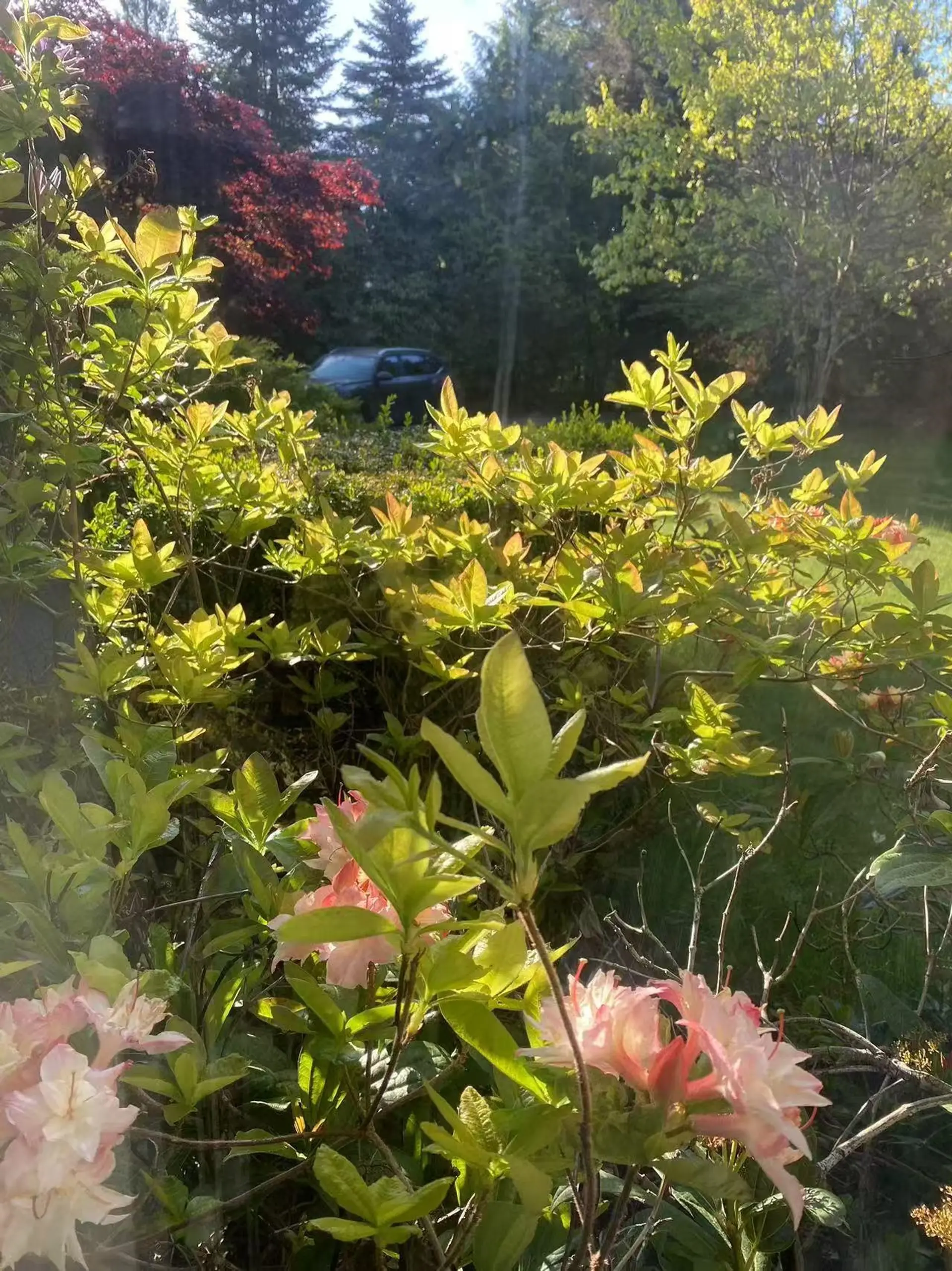 Property at 17327 26A AVENUE, Surrey, BC