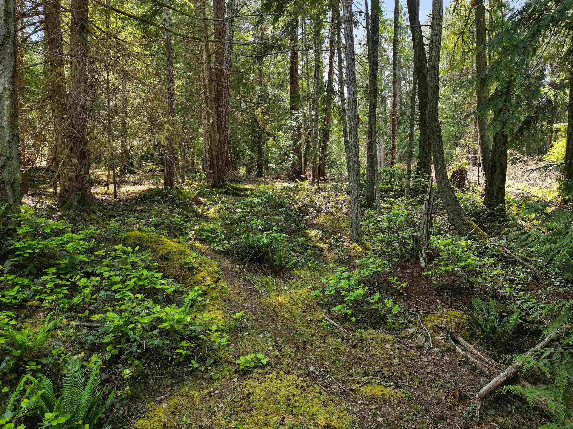 Property at 568 AYA REACH ROAD, Mayne Island, BC