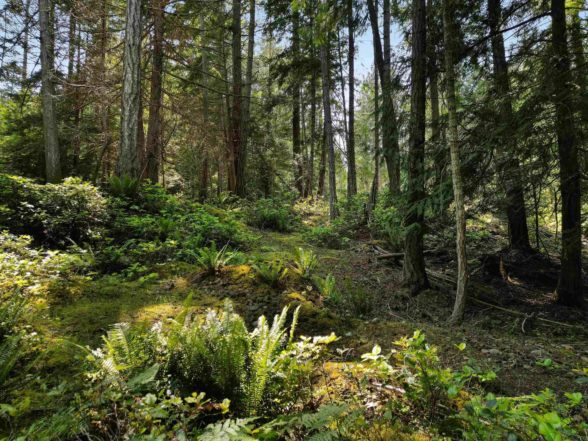 Property at 568 AYA REACH ROAD, Mayne Island, BC