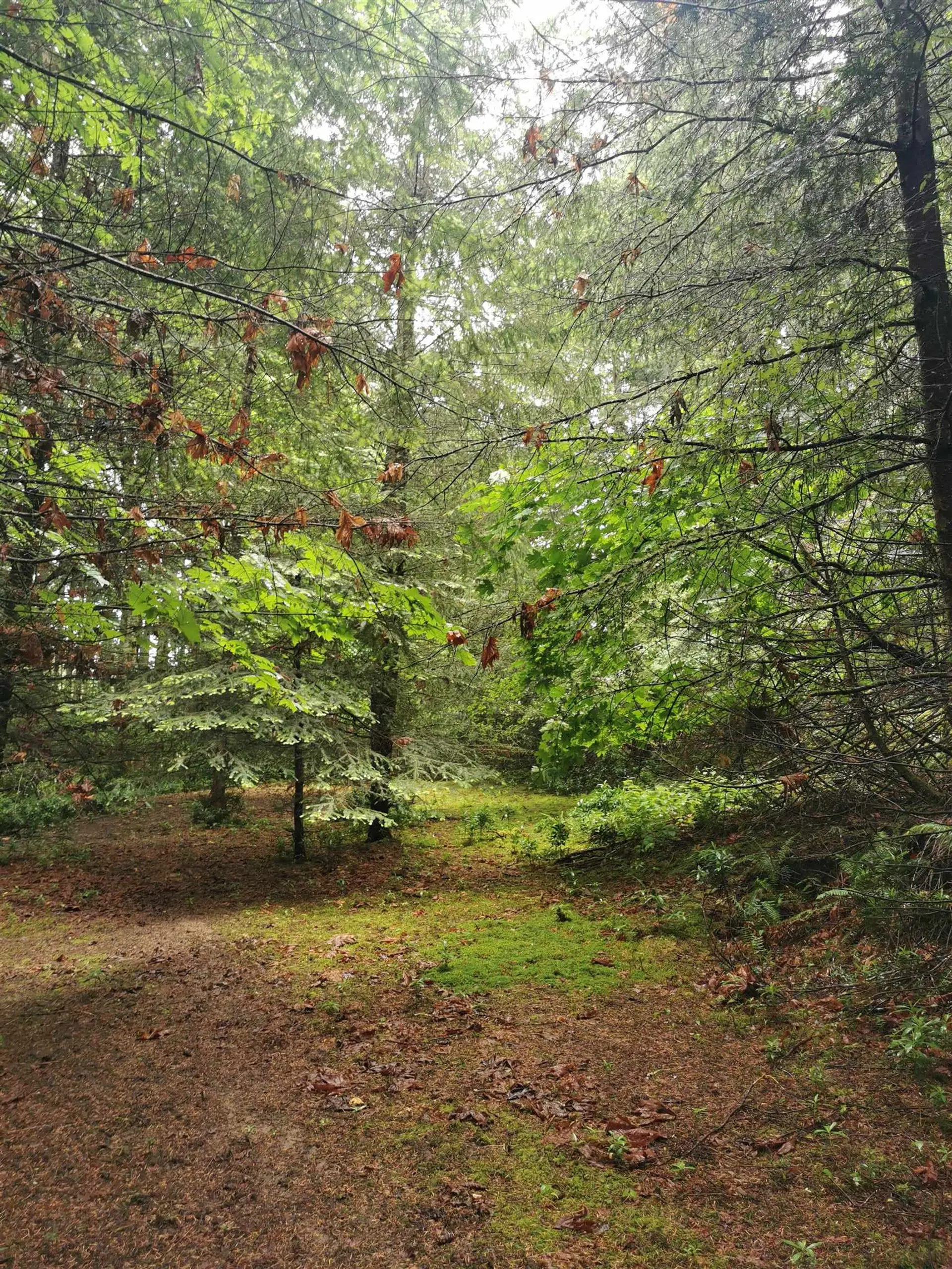 Property at 706 FERNHILL ROAD, Mayne Island, BC