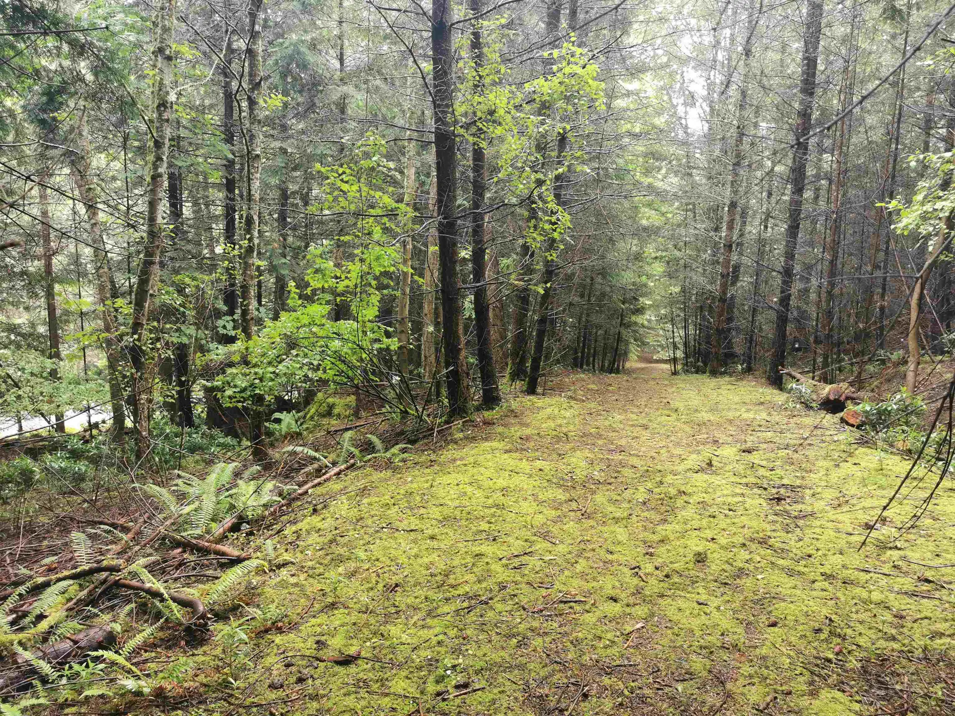 Property at 706 FERNHILL ROAD, Mayne Island, BC