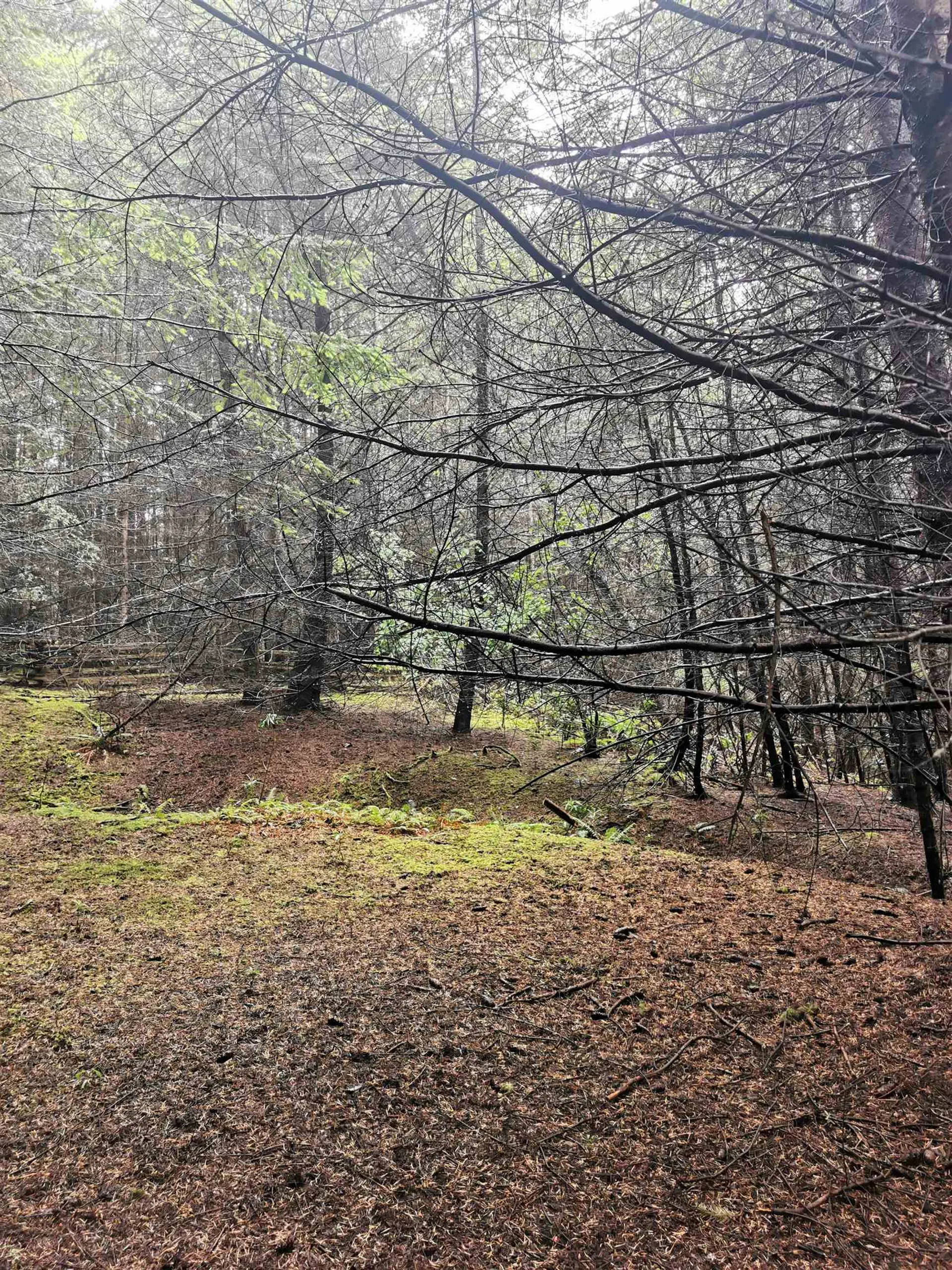 Property at 706 FERNHILL ROAD, Mayne Island, BC