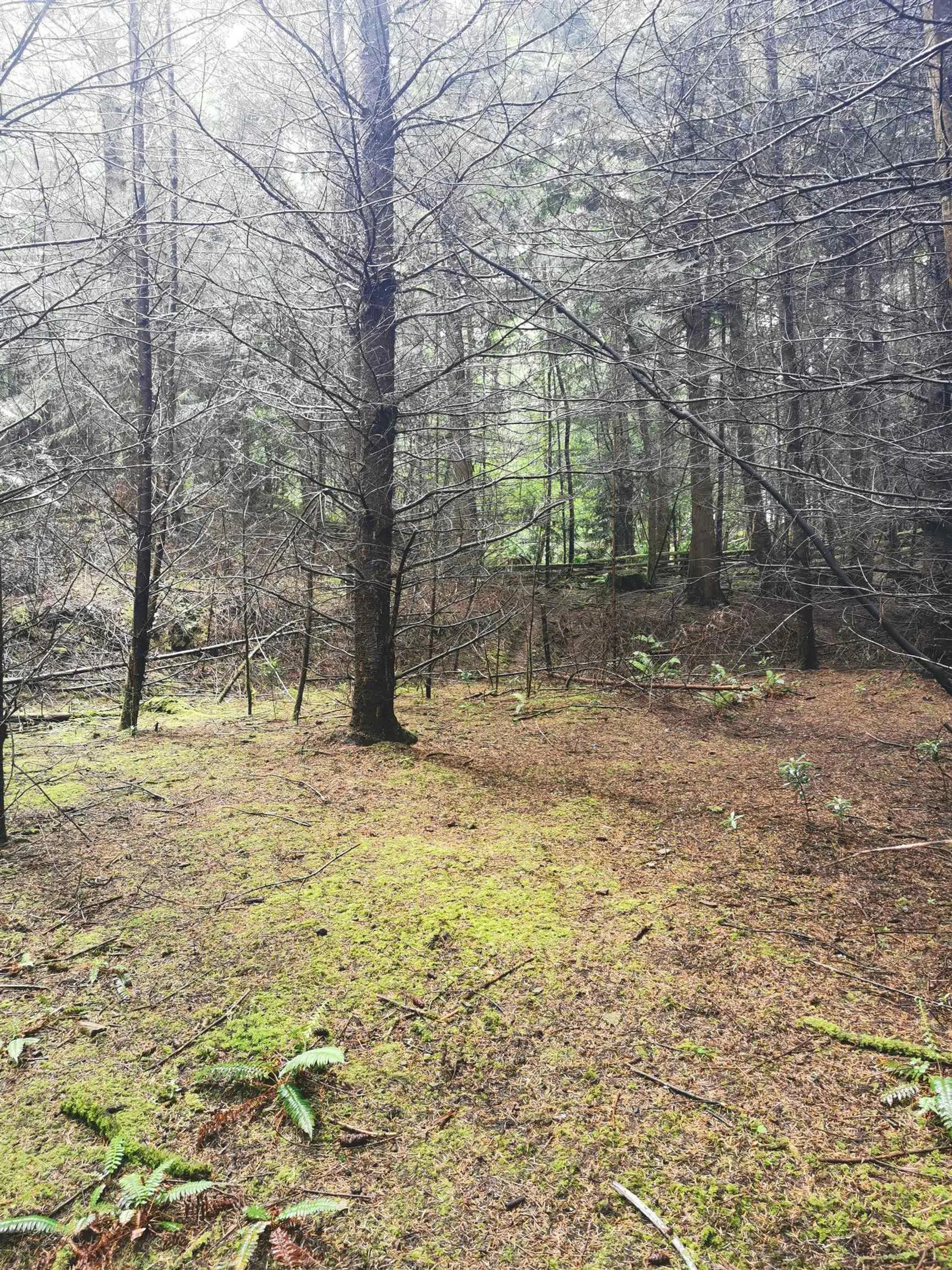 Property at 706 FERNHILL ROAD, Mayne Island, BC